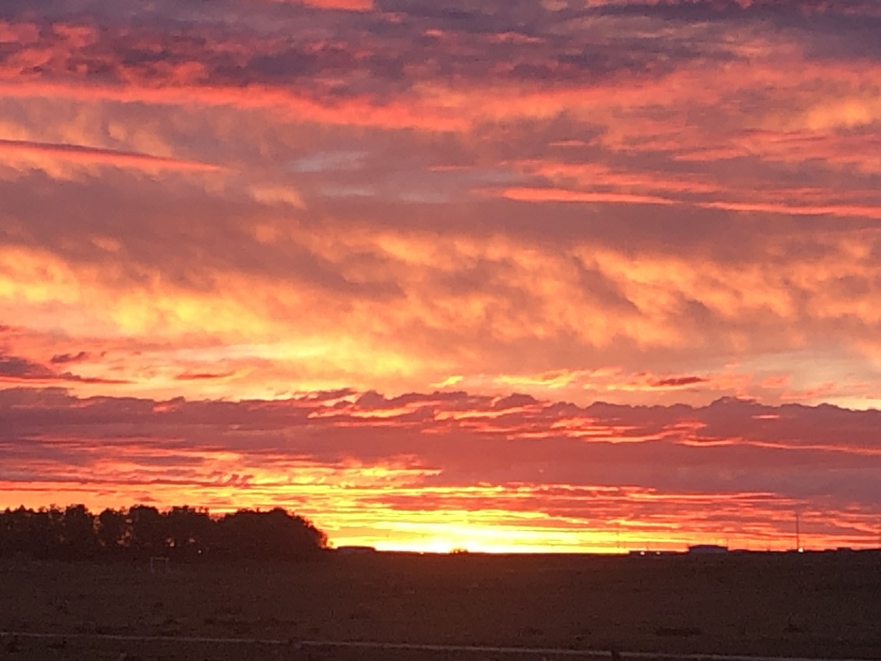 We can't wait for you to see the sunrise in the morning. 