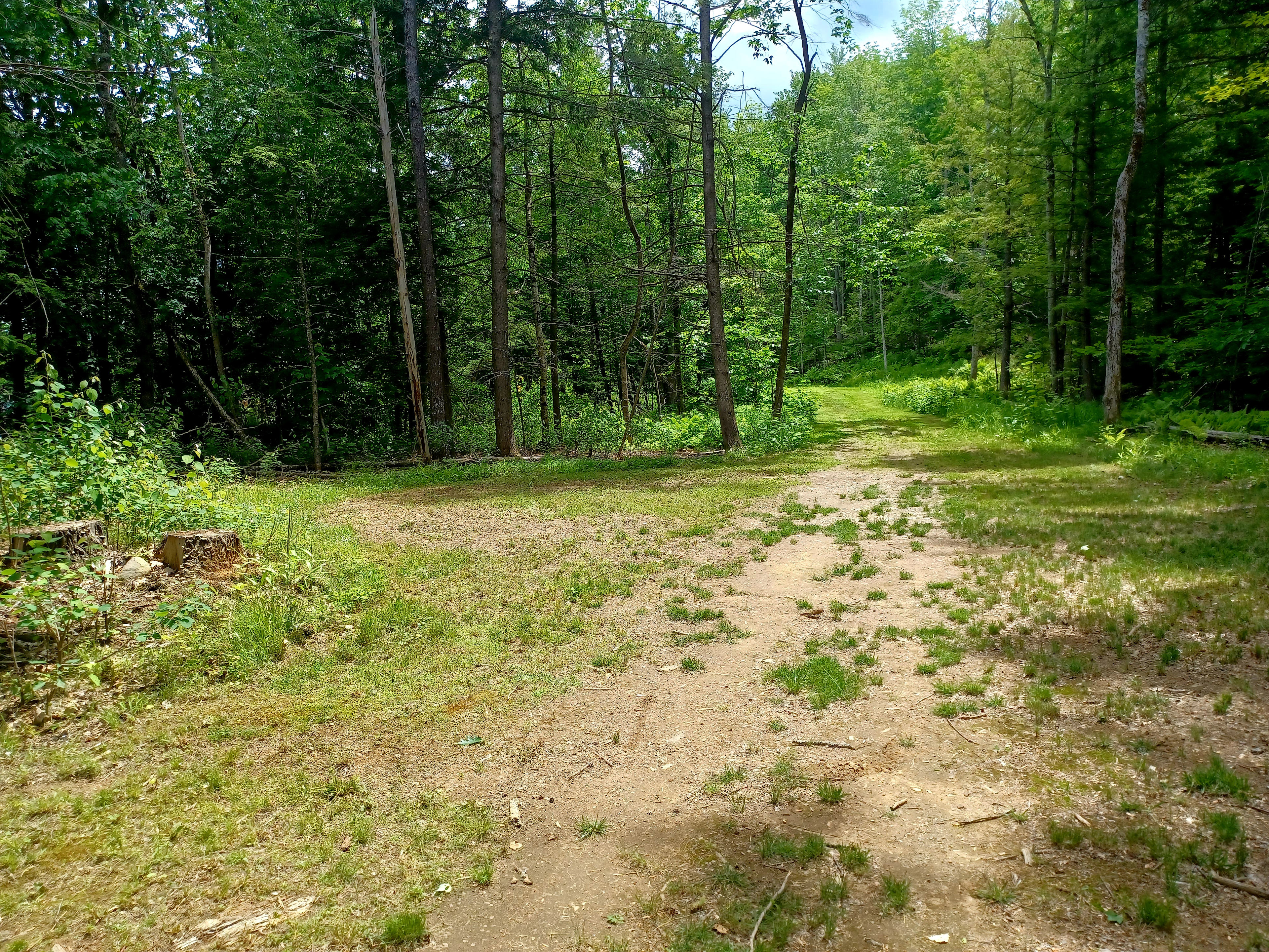 Lovedy's Land at Nubbin Corner.