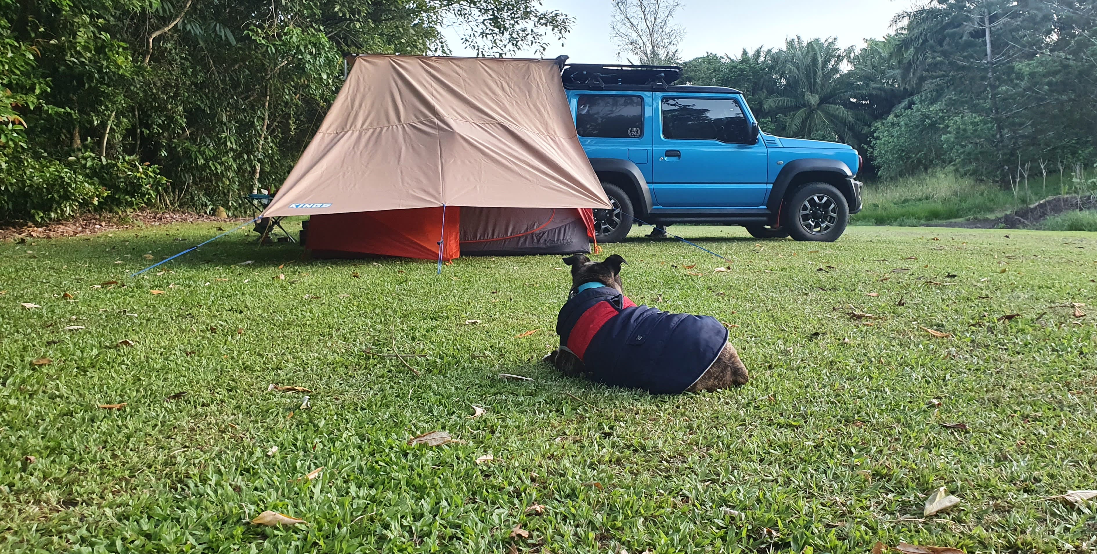 Beautiful area, dogs welcome