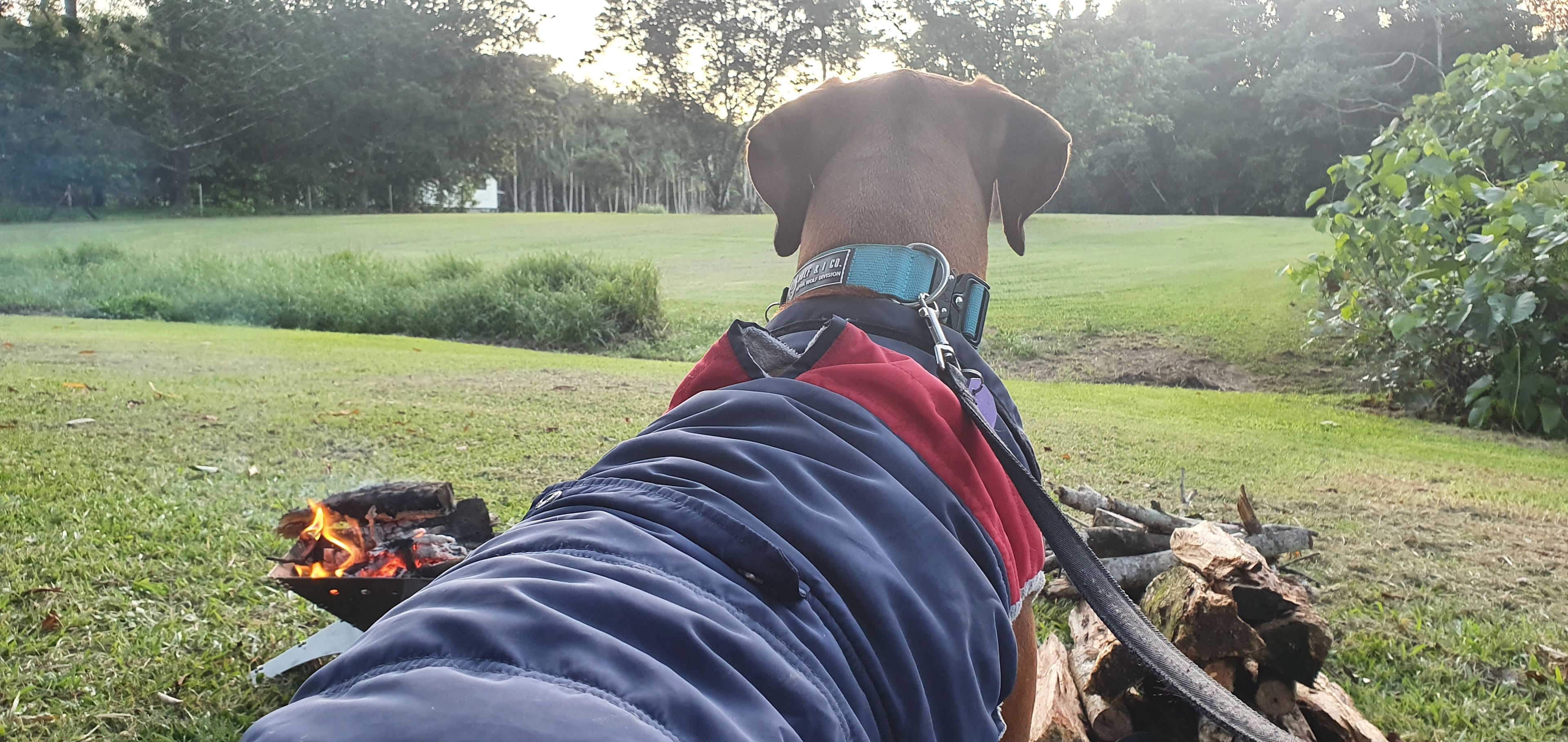 Just my boy enjoying the serenity 