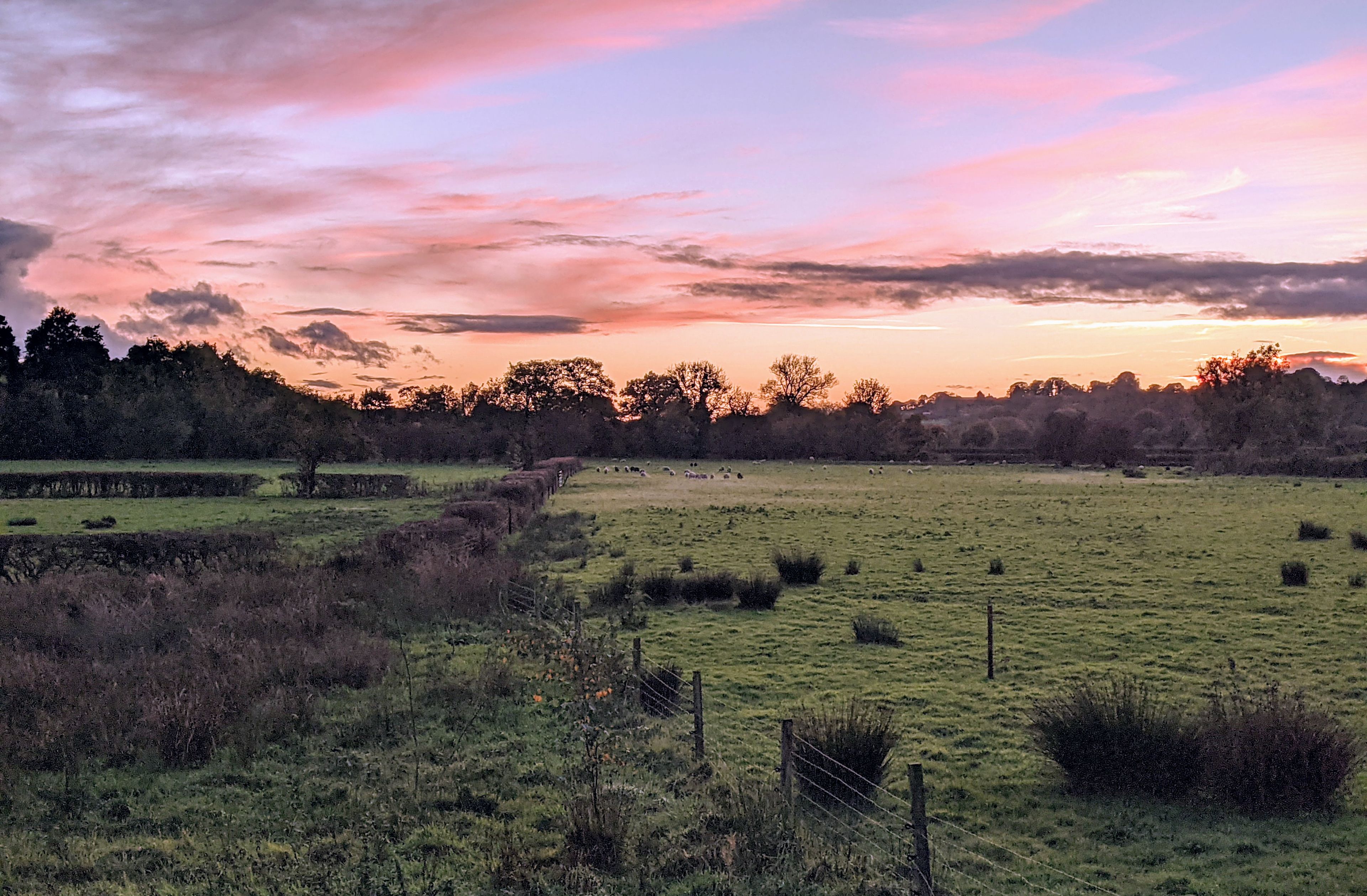 Alder Carr Farm