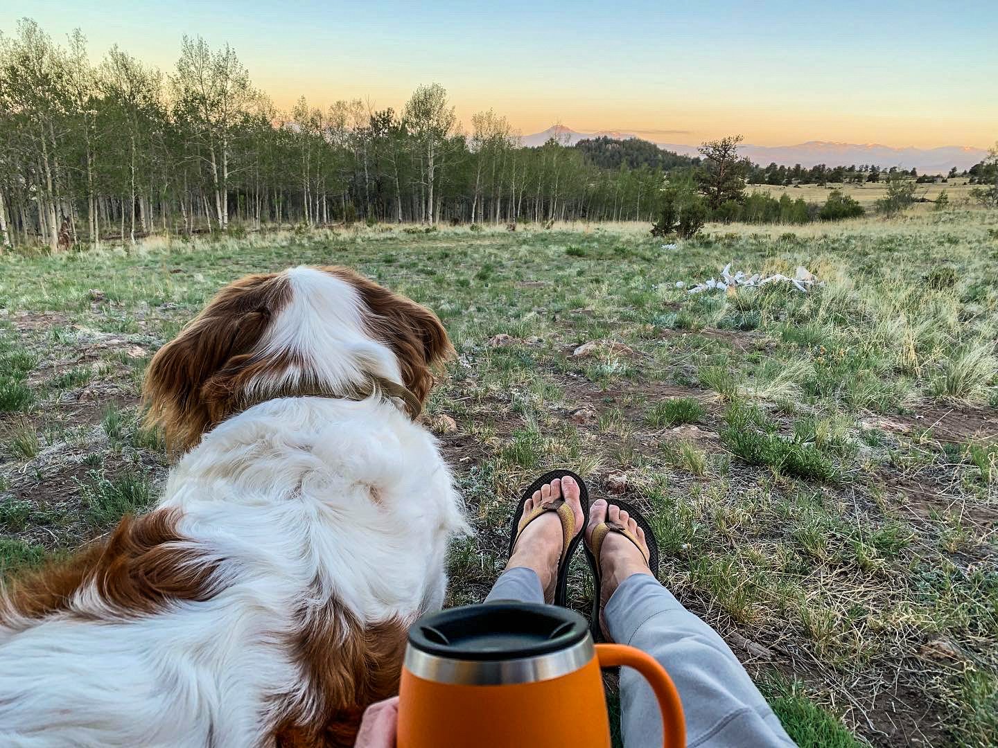 Morning coffee views with Ernie