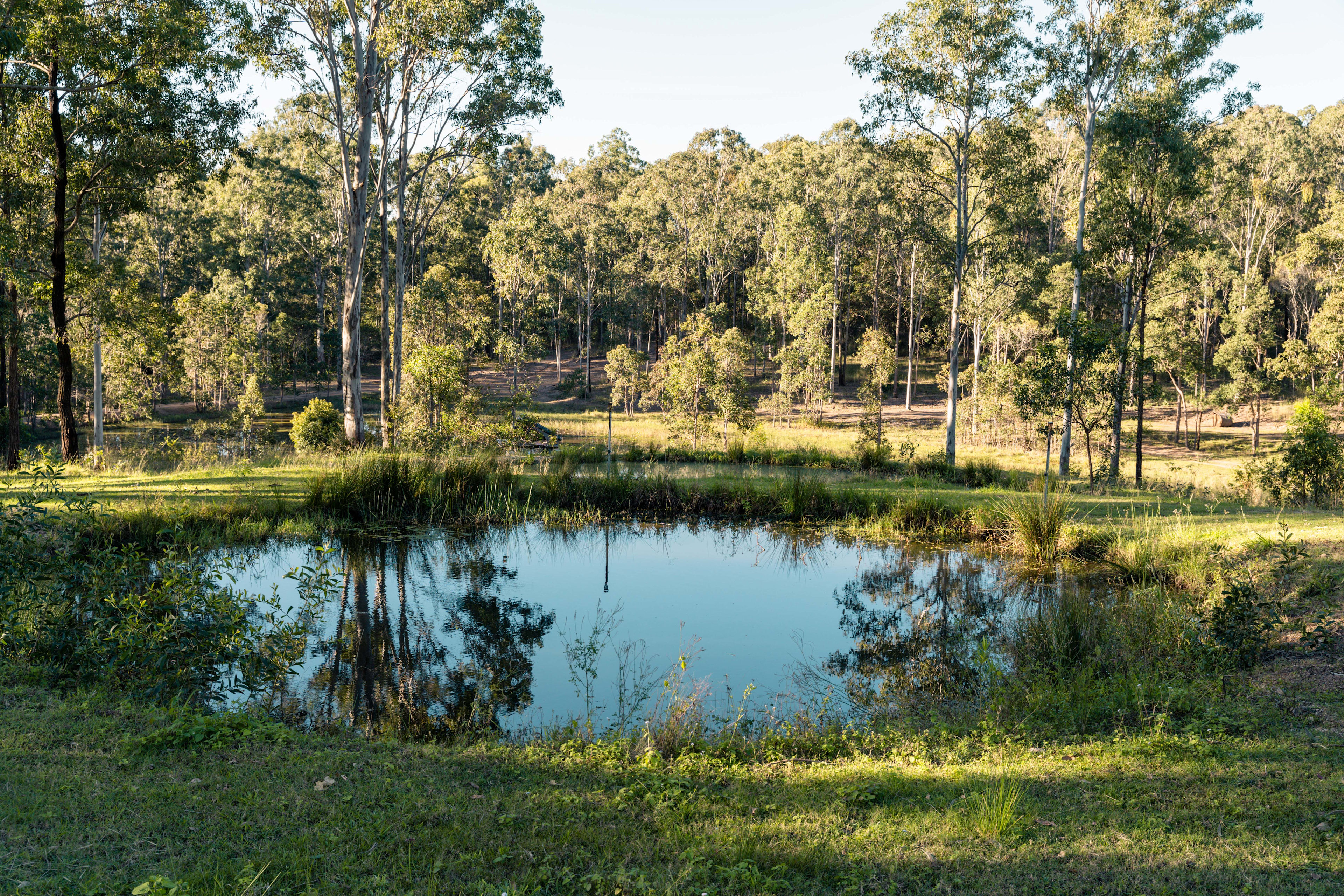 So many pretty spots