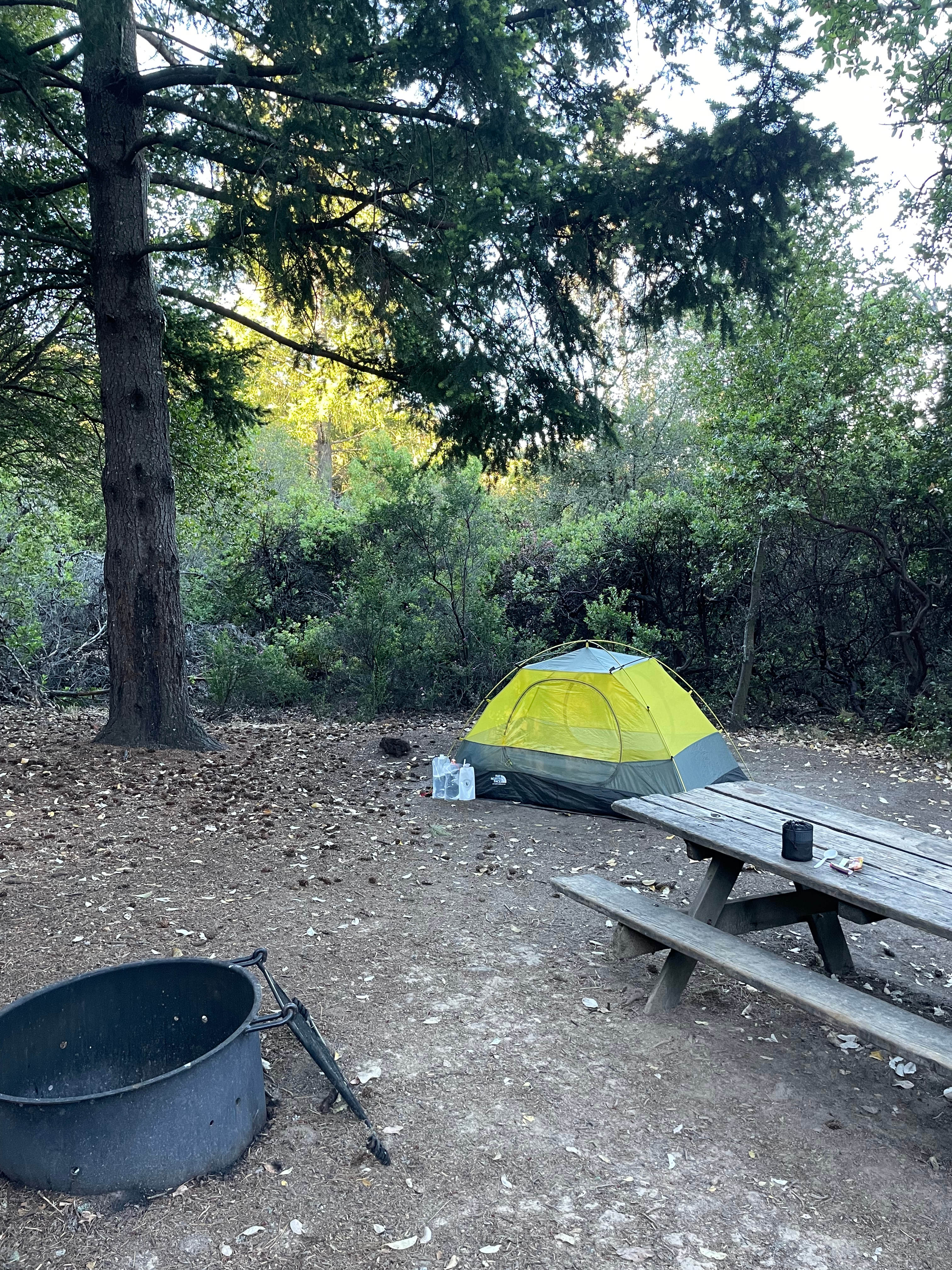 Castle Rock State Park
