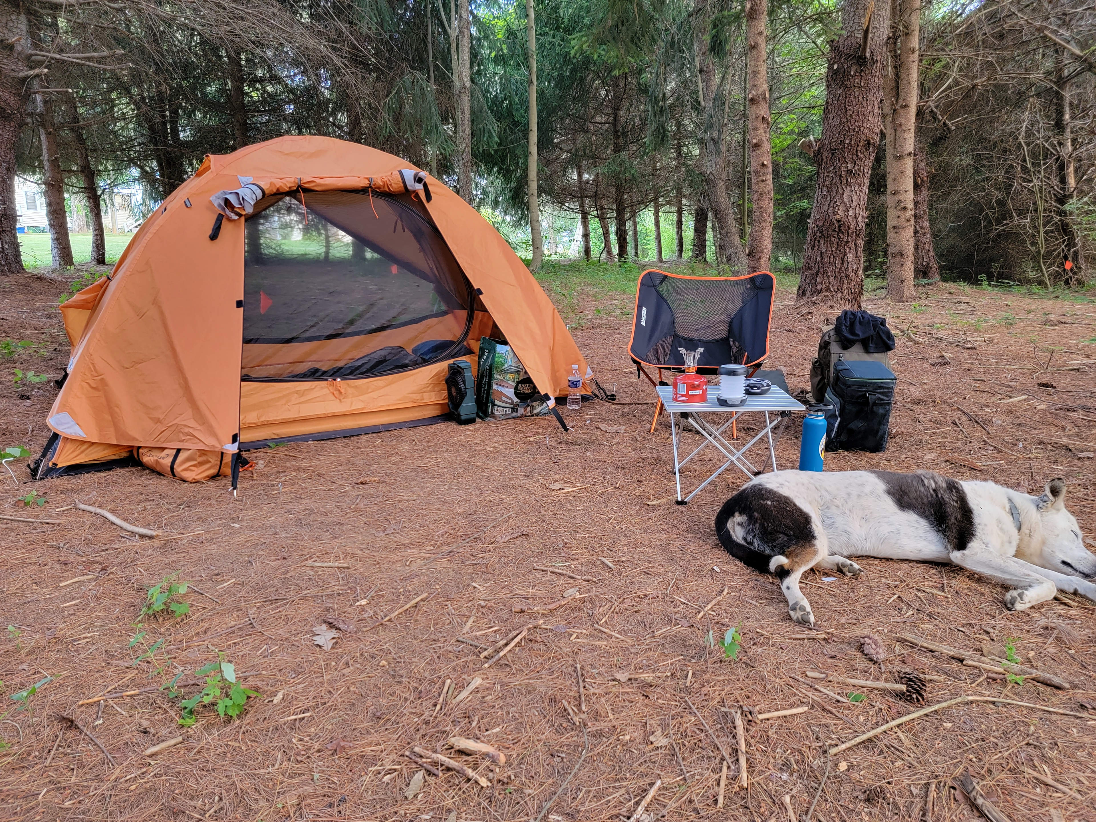 2nd40 to 420 - The Farm