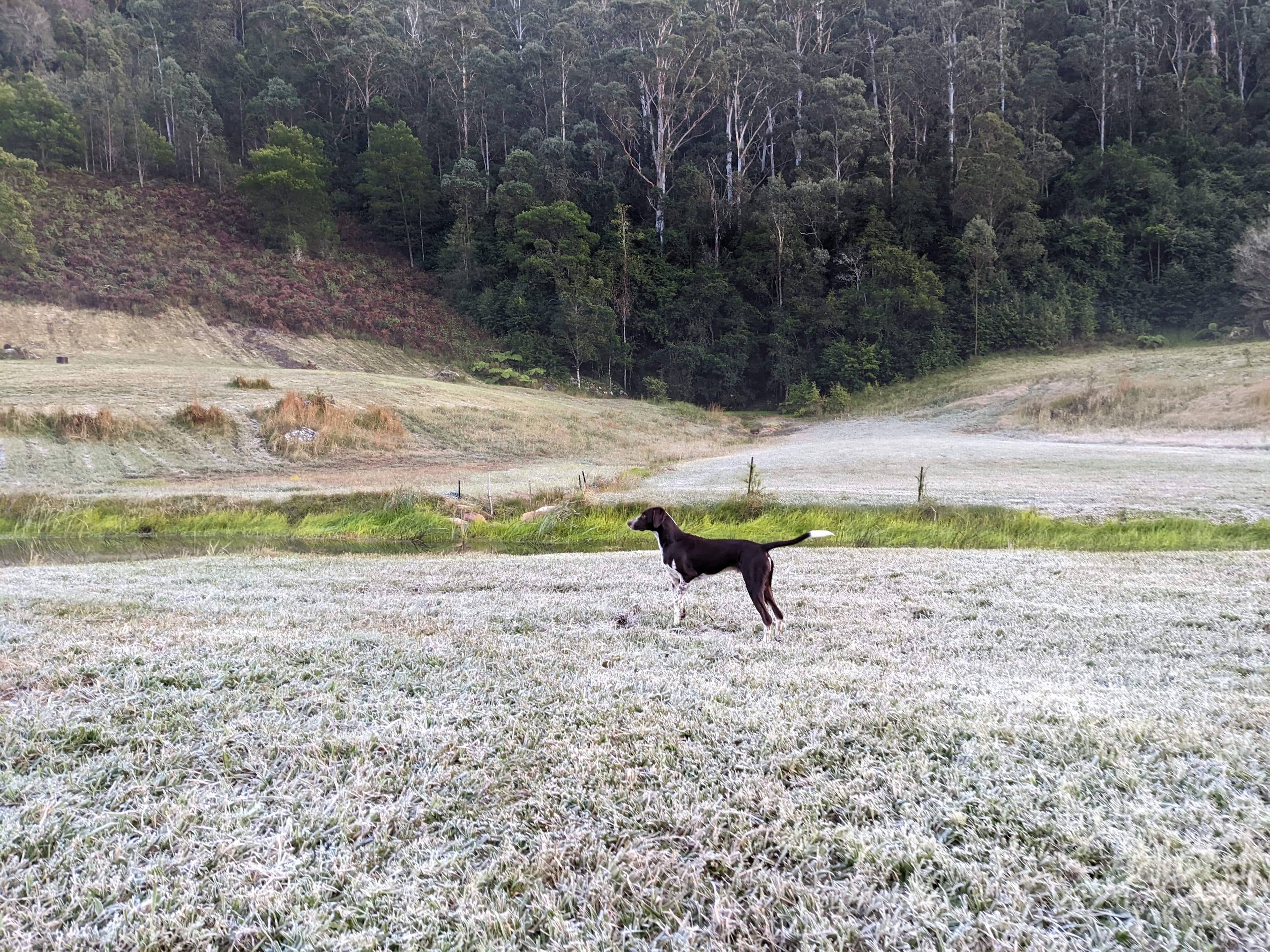 Central Coast Valley Farm
