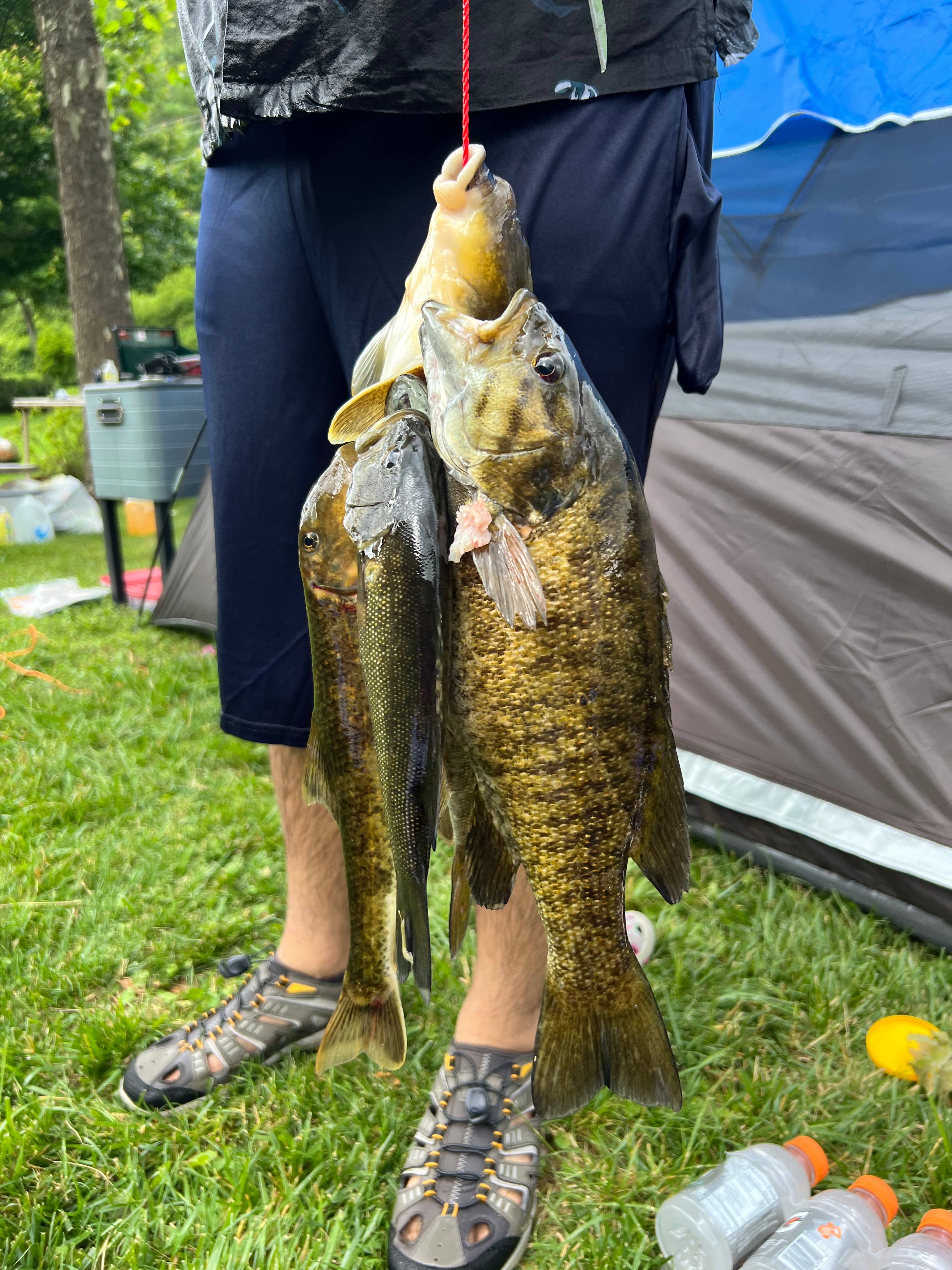 NEW RIVER REDEMPTION