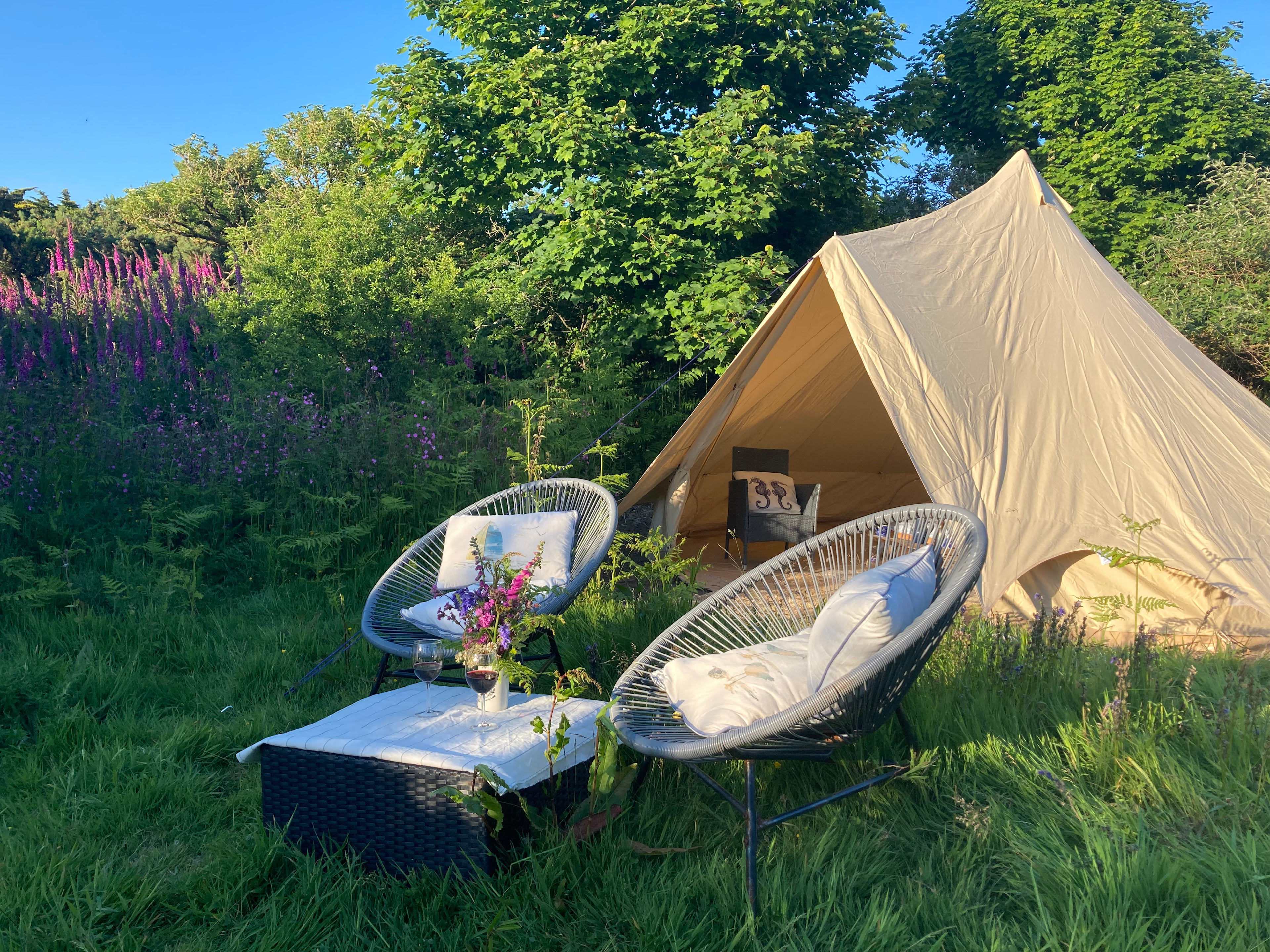 Dulse tent