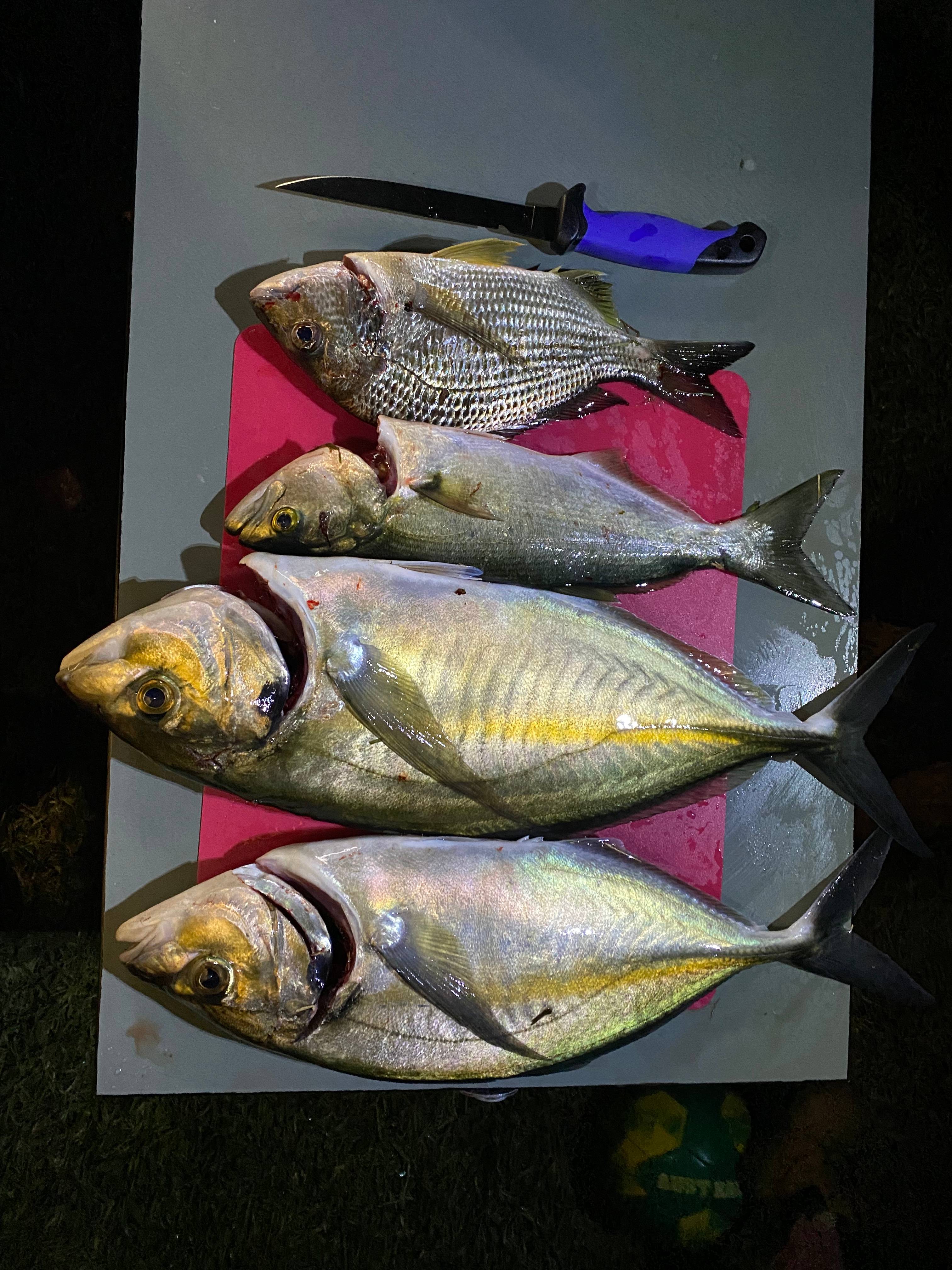 Our haul from our campsite.