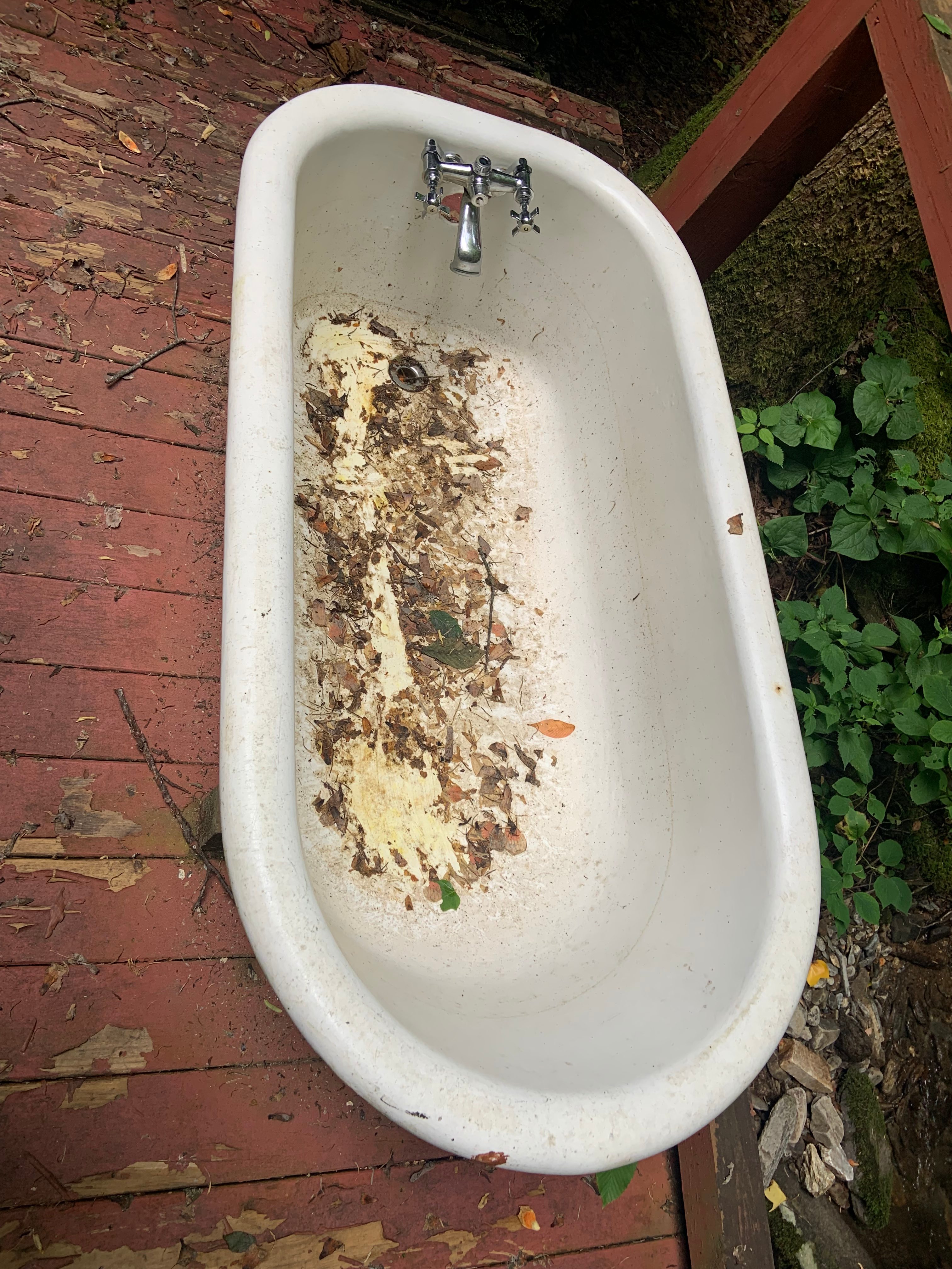 More filth. Figured I’d show a realistic photo of what they show in the ad