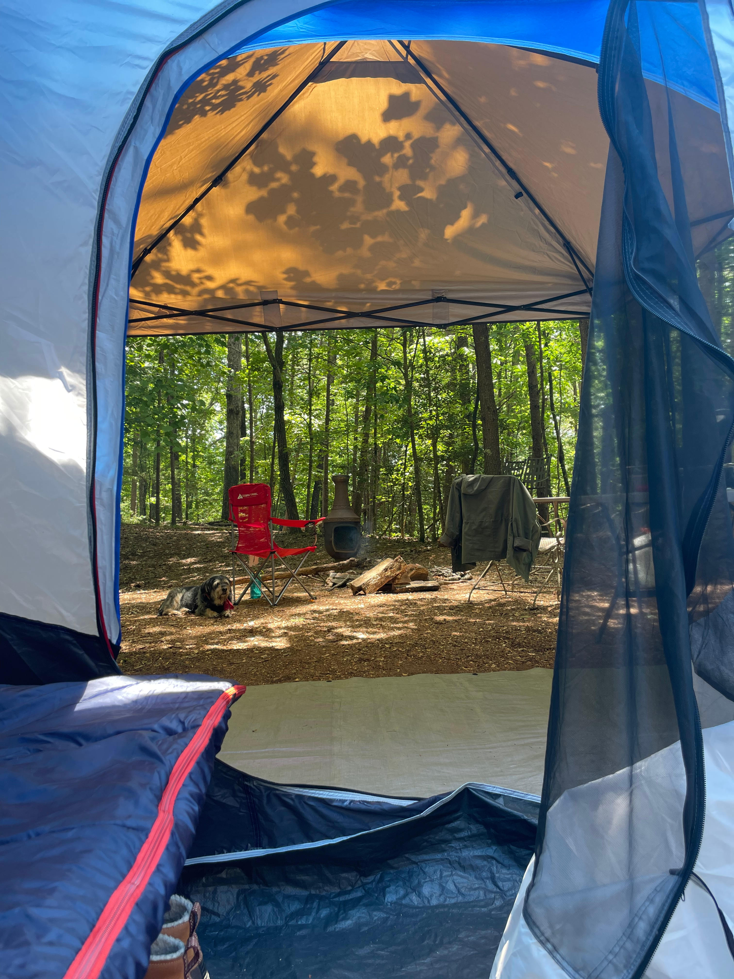 Wooded Camping at Pond