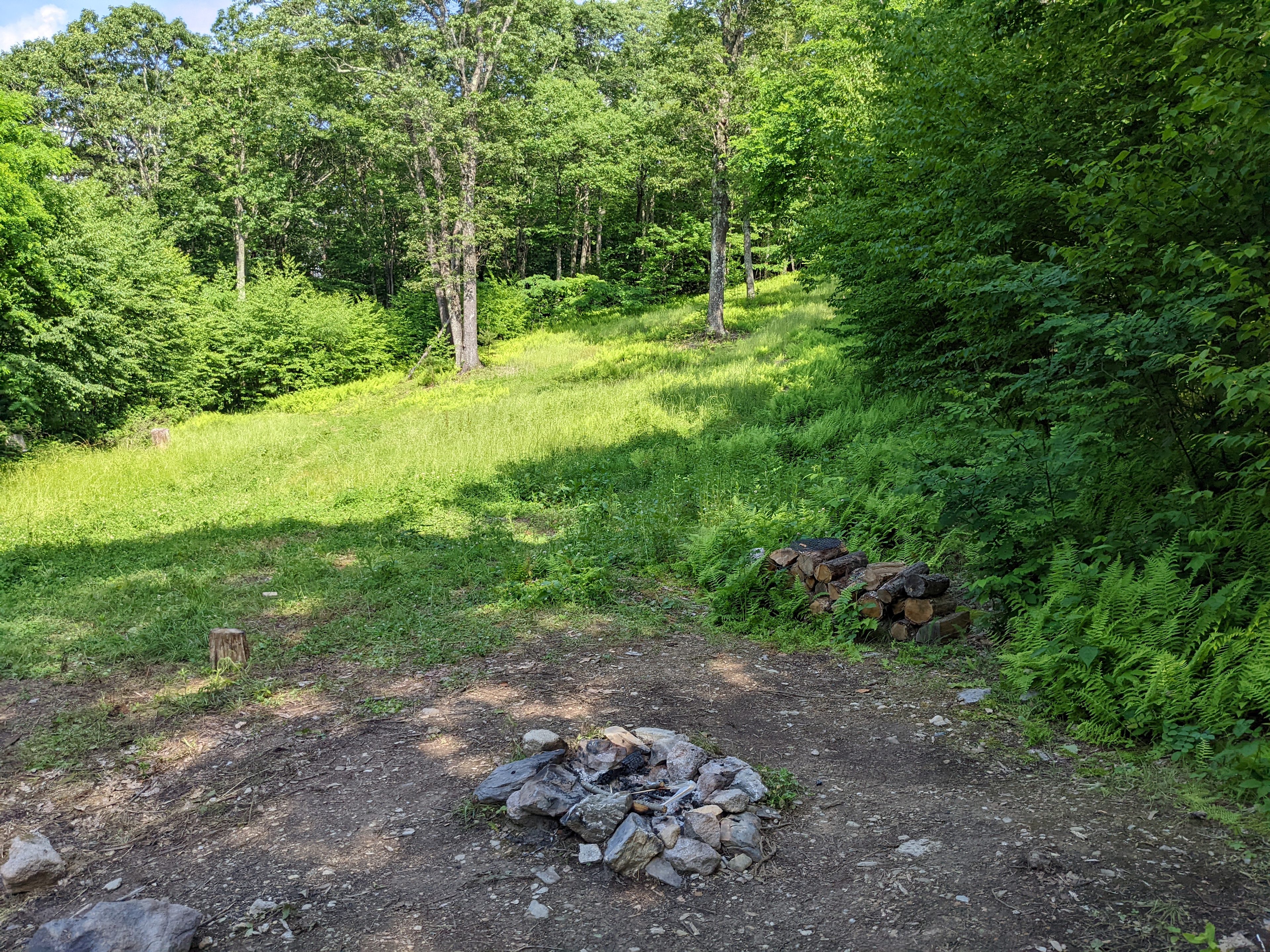 Shenandoah NP MTN Field