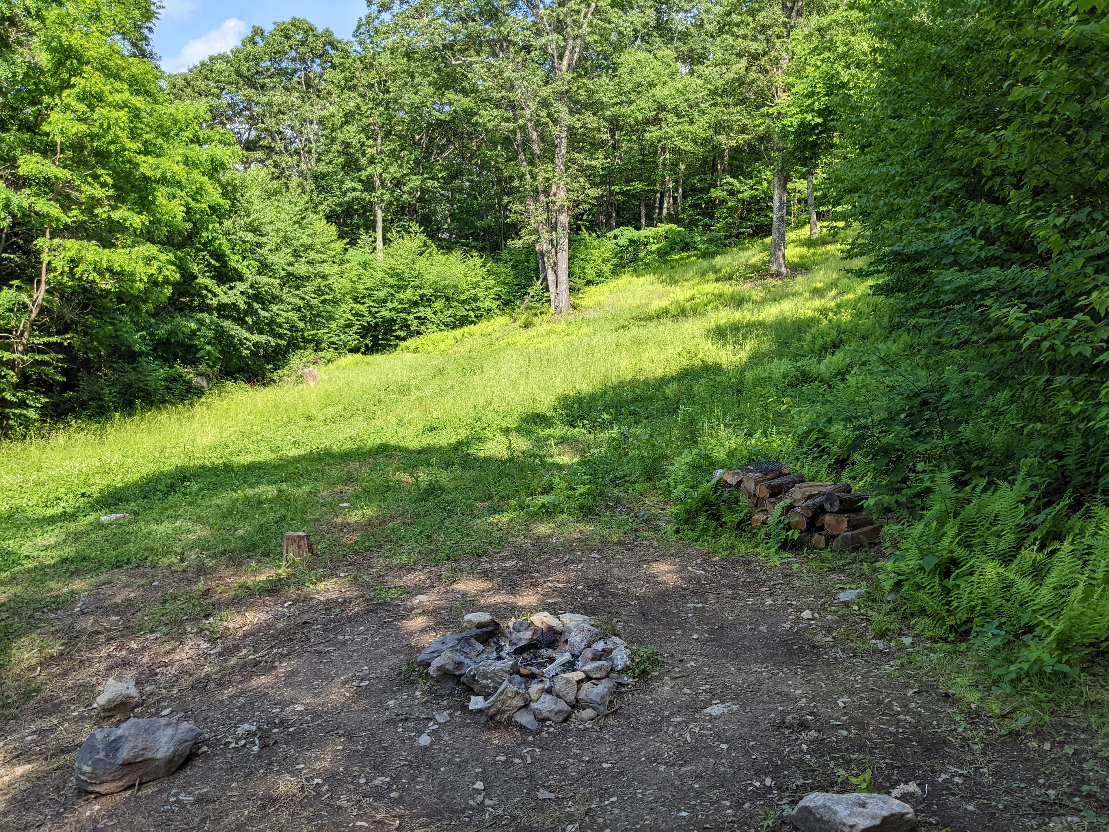 Shenandoah NP MTN Field