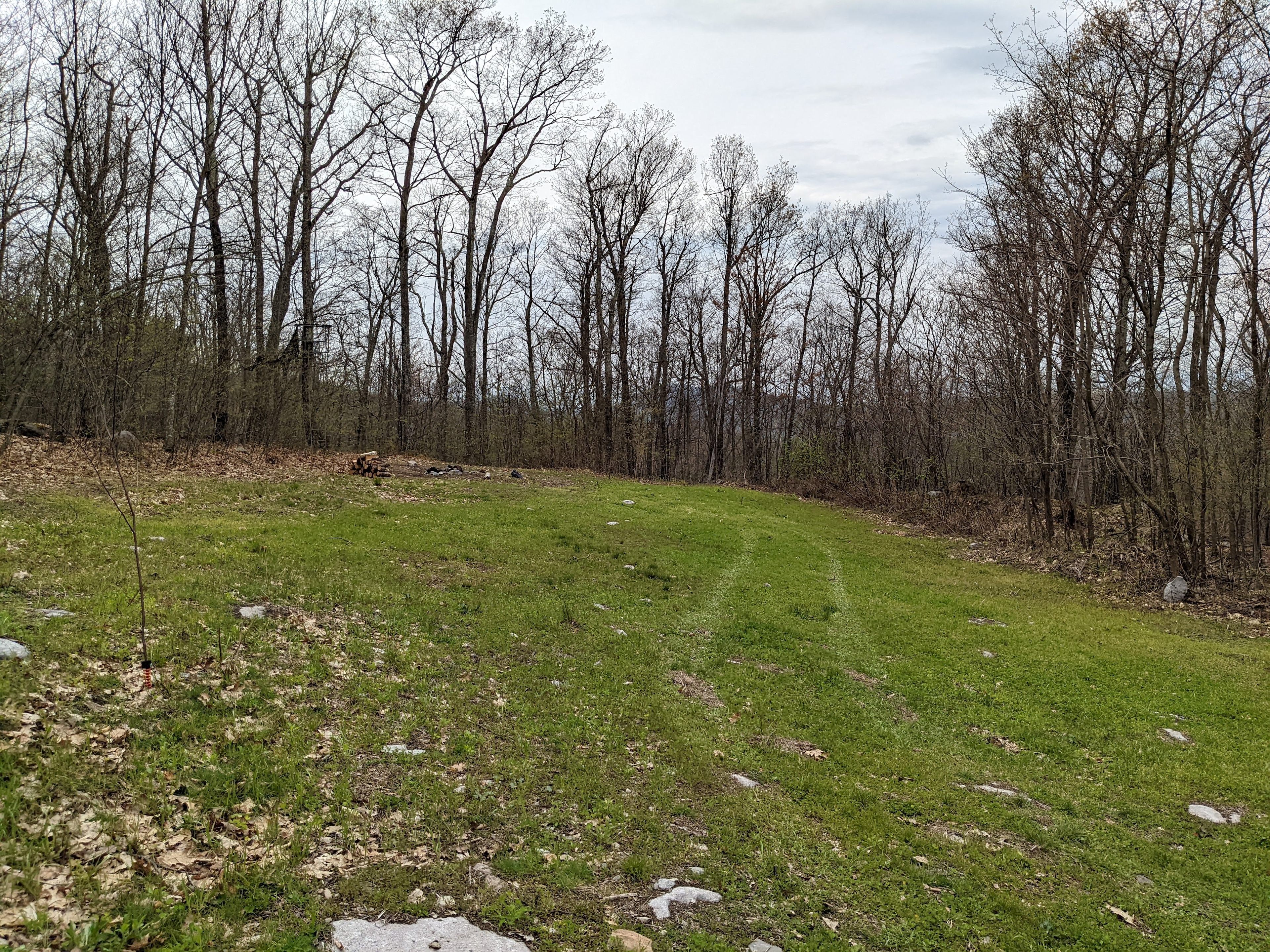 Shenandoah NP MTN Field