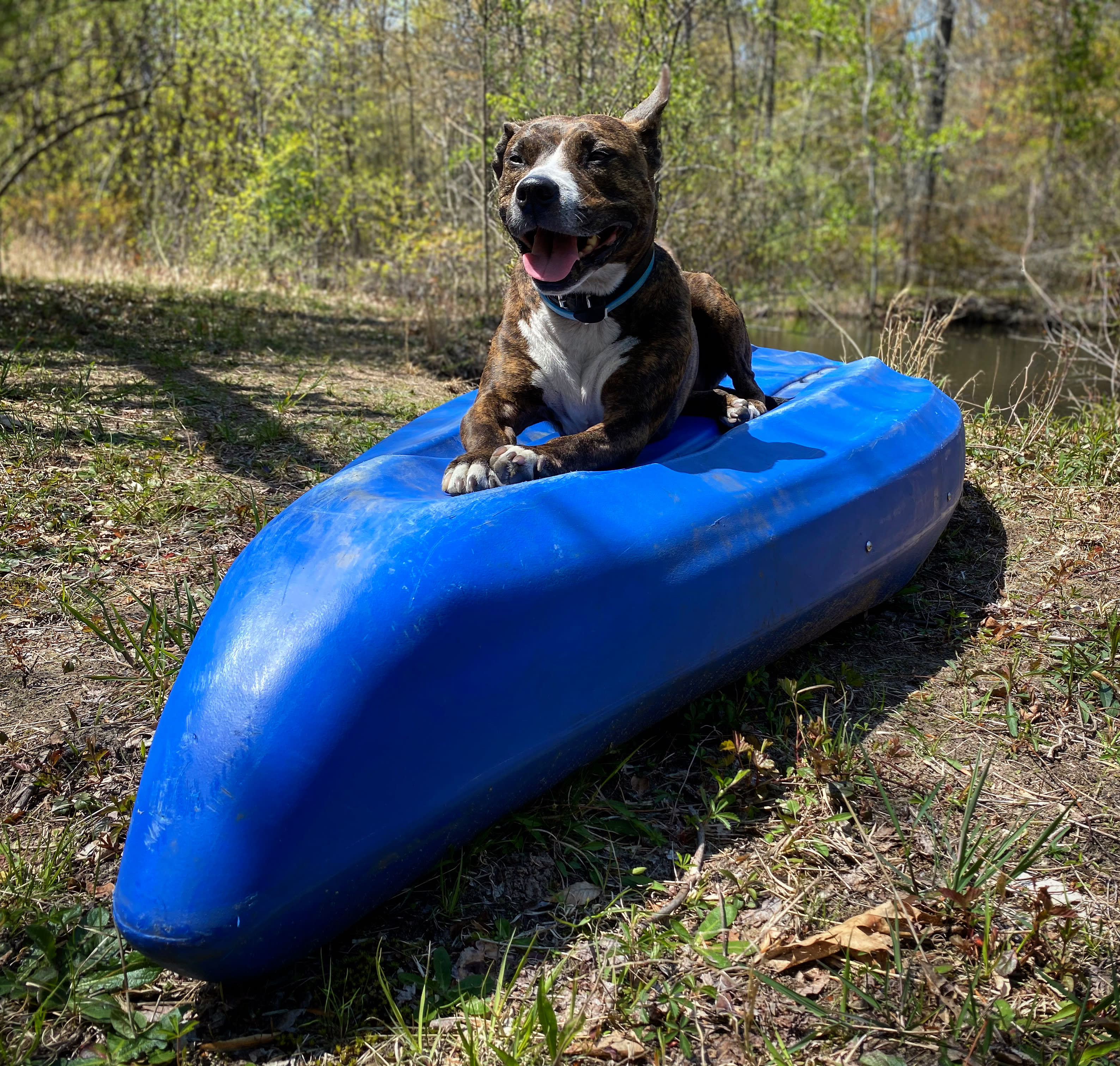 Private Camping in Michiana