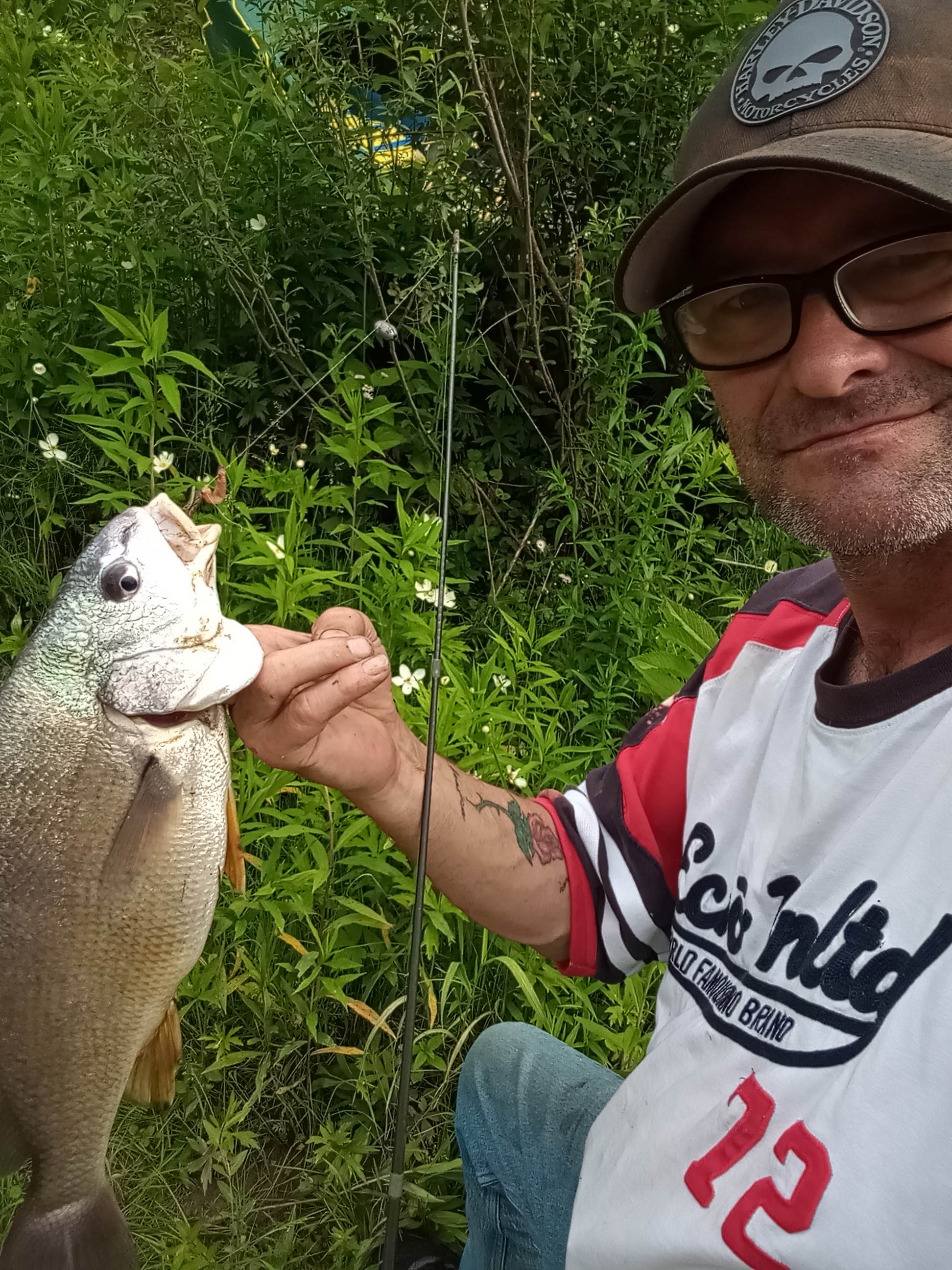 La Nation BedROCK 🤘 🏕️🔥🌲