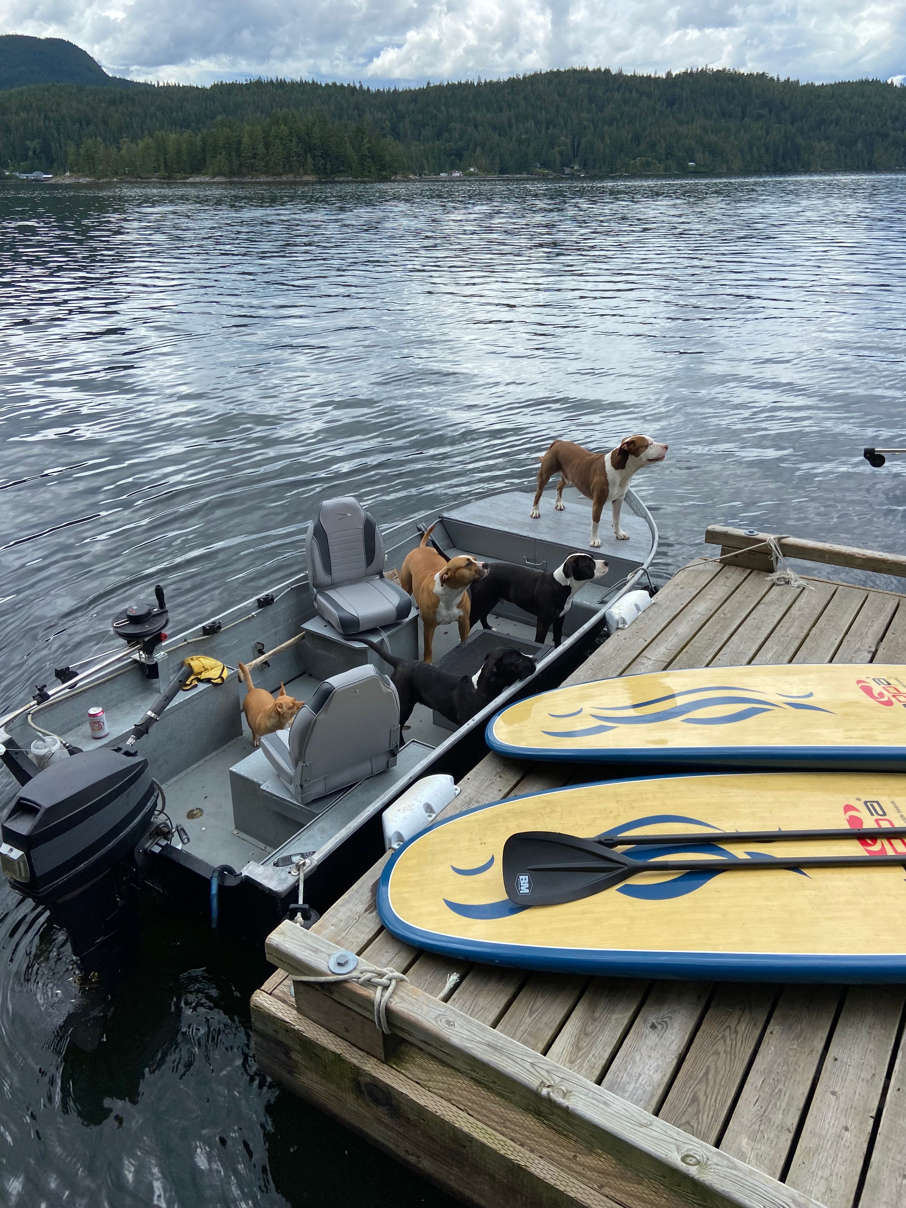 2 Tide on the Hillside