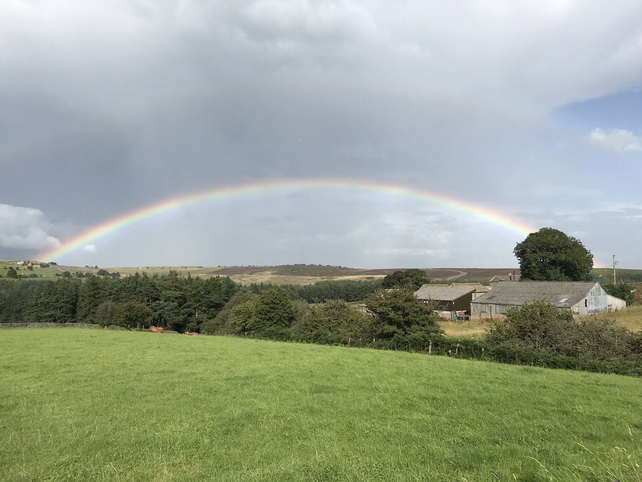 Rainbow