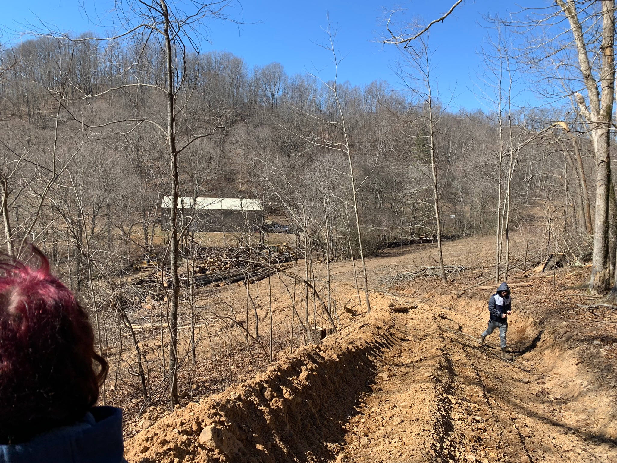Logging paths make 4 wheeler riding a breeze!!