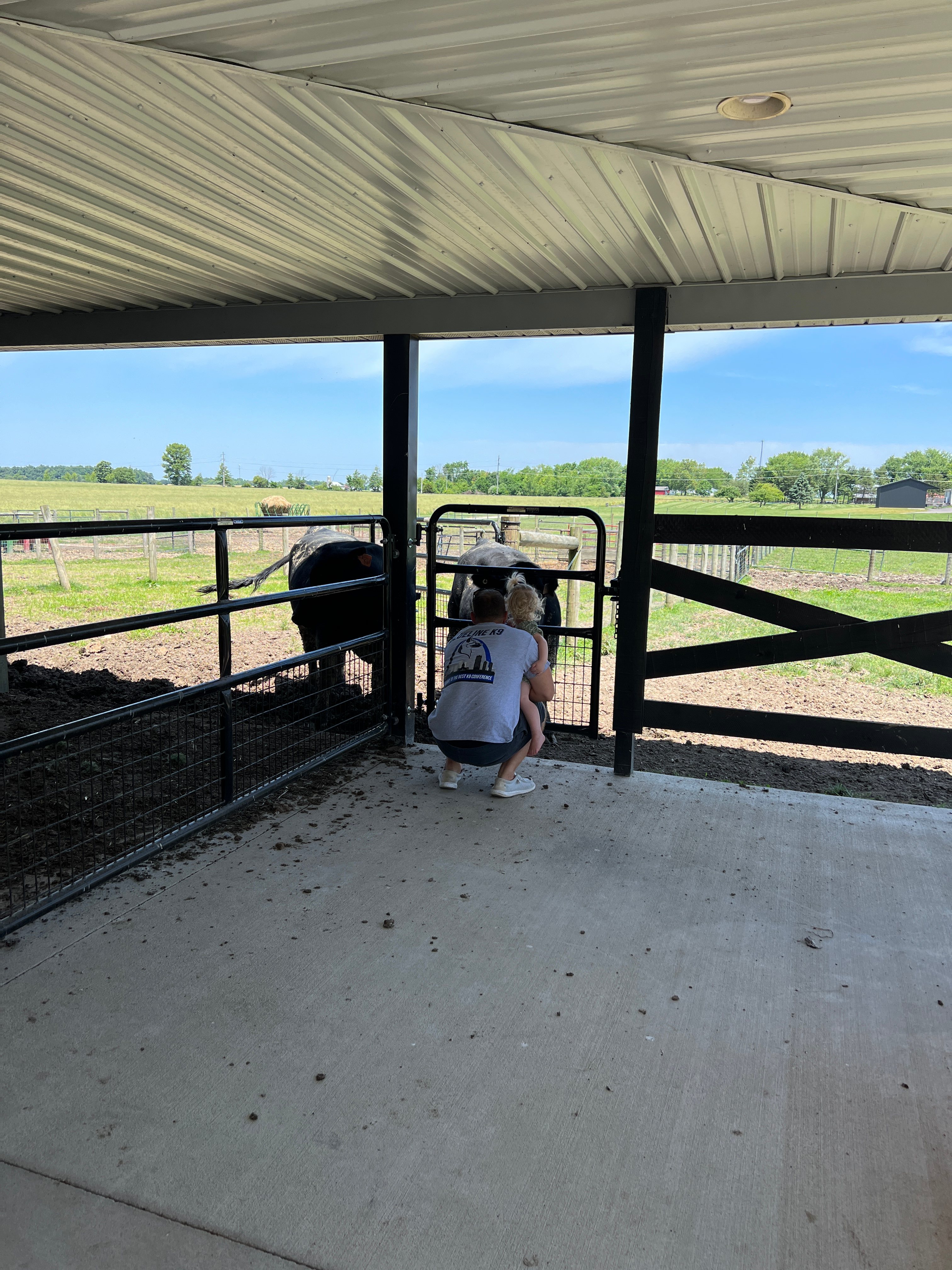 Visit with our friendly animals! Please use caution and do not feed or pet! 
