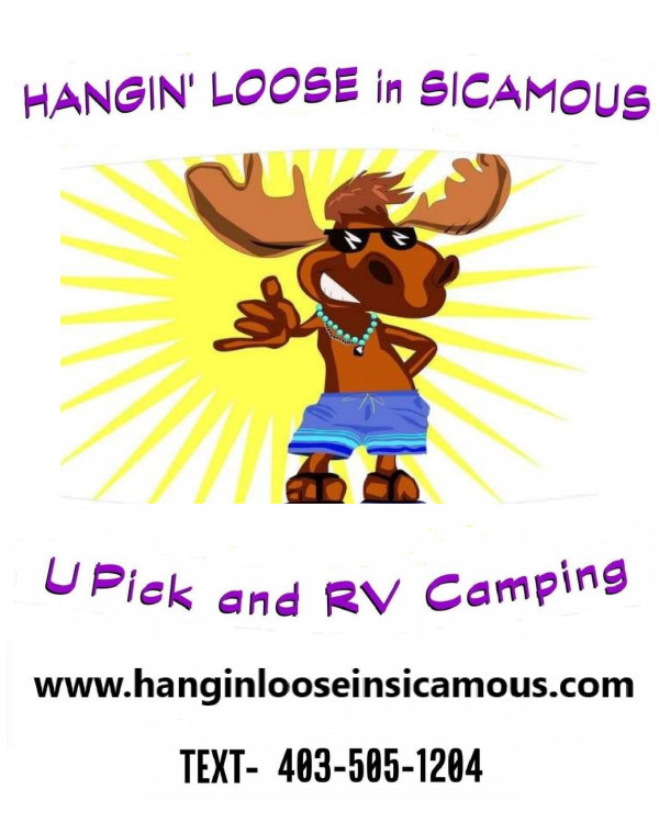 Hangin' Loose in Sicamous U Pick