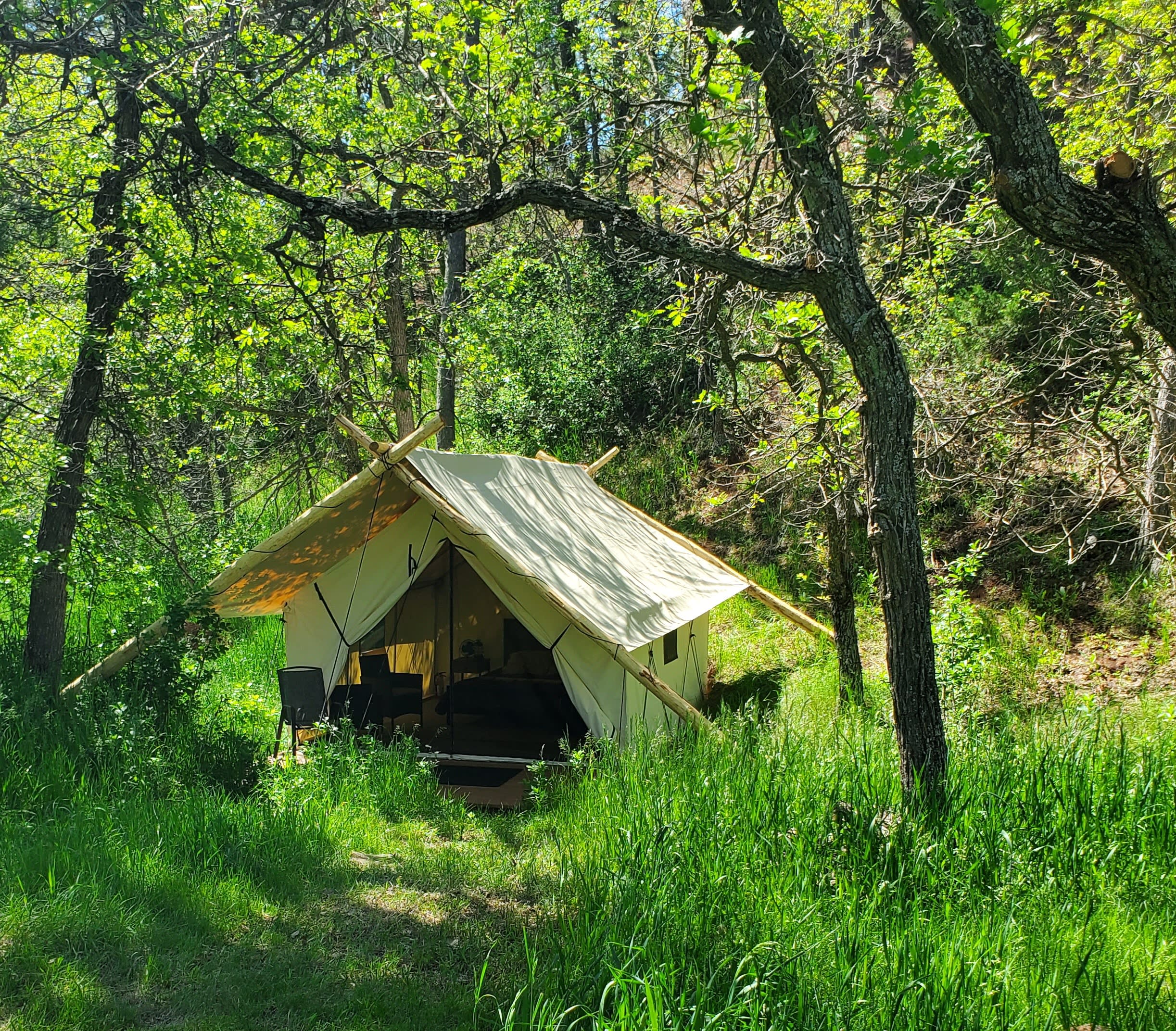 Bear Den Cabins & Camp