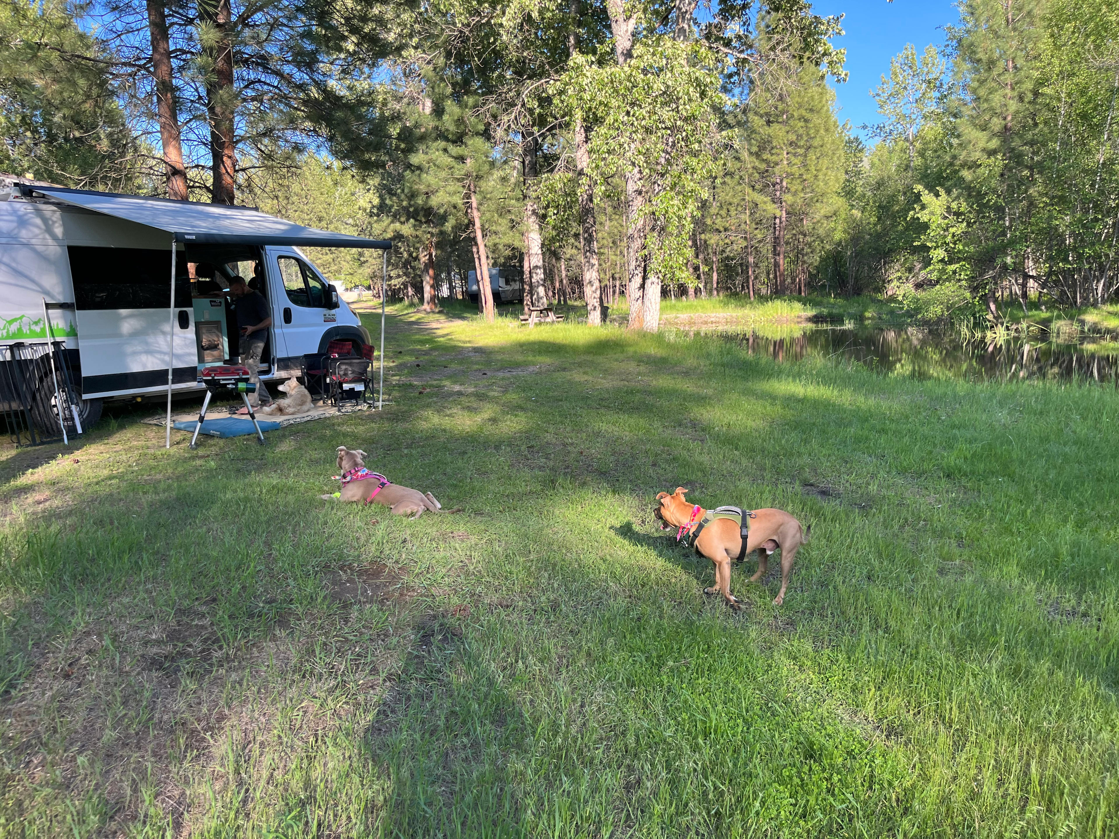 God's Country Camping
