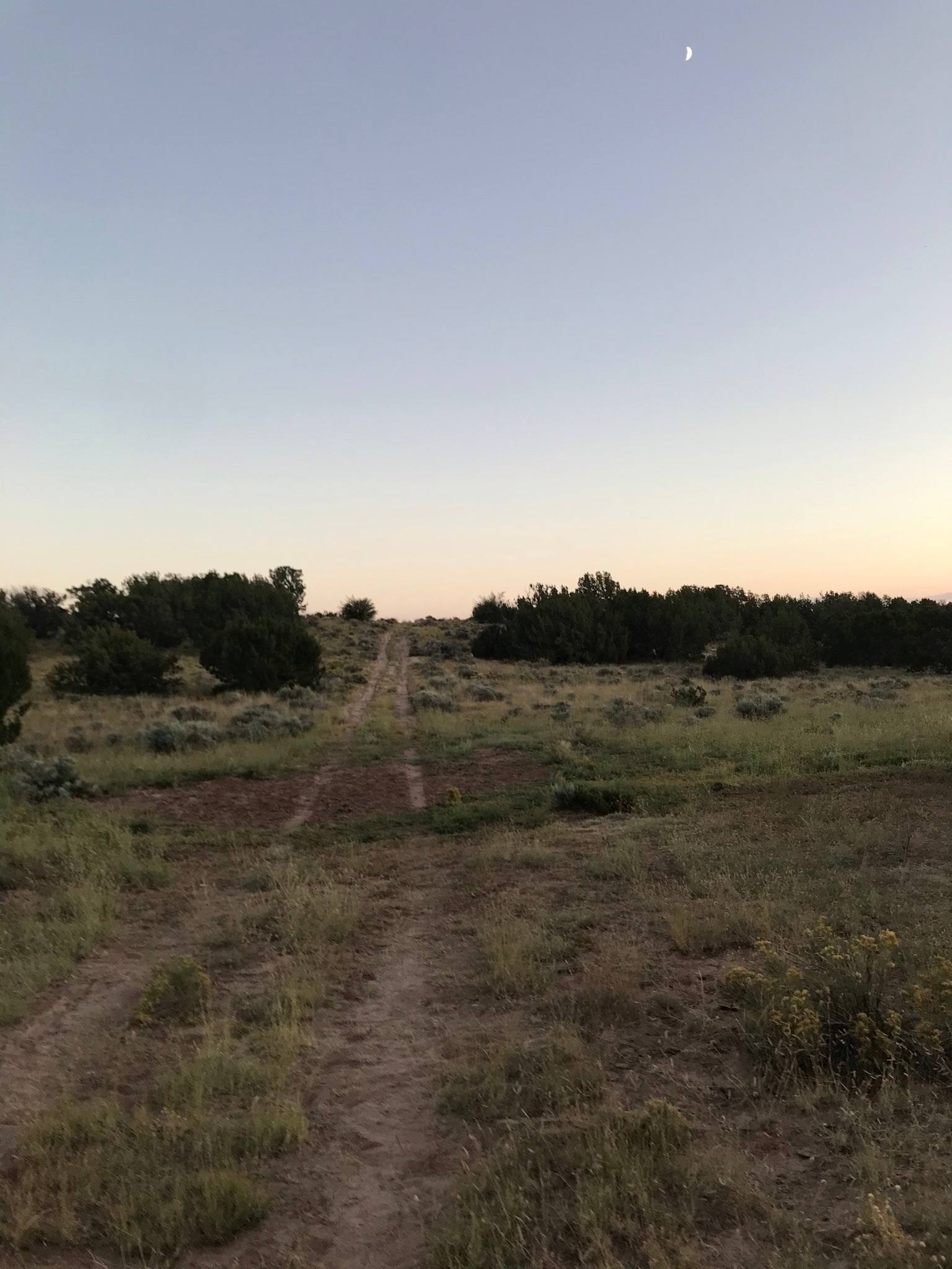 Massif Homestead