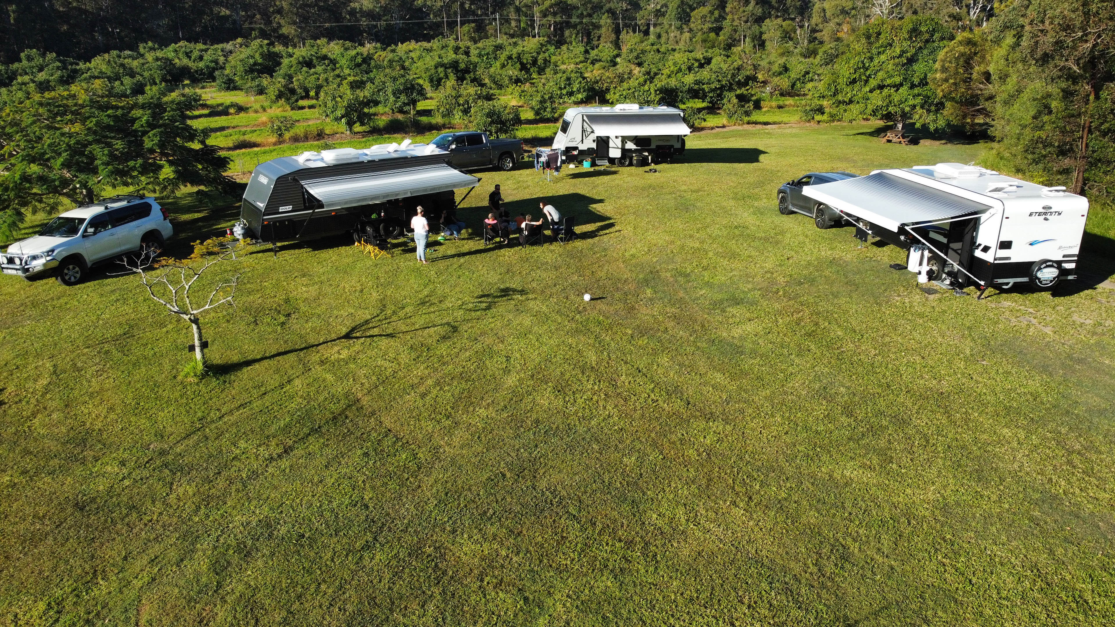 Wolvi Grove Avocado Farm Camping