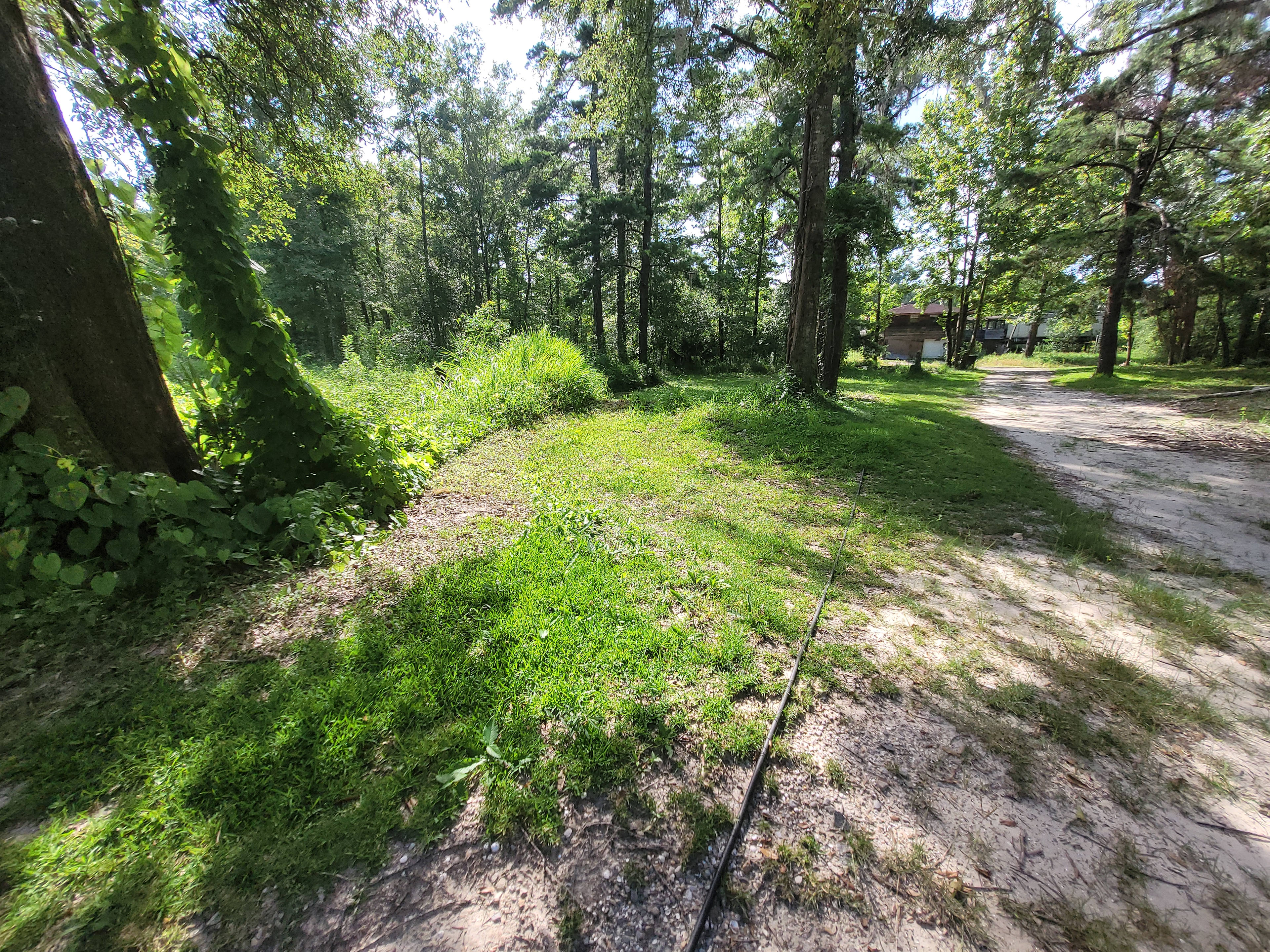 PYRAprotocol.com  Camping the Amite