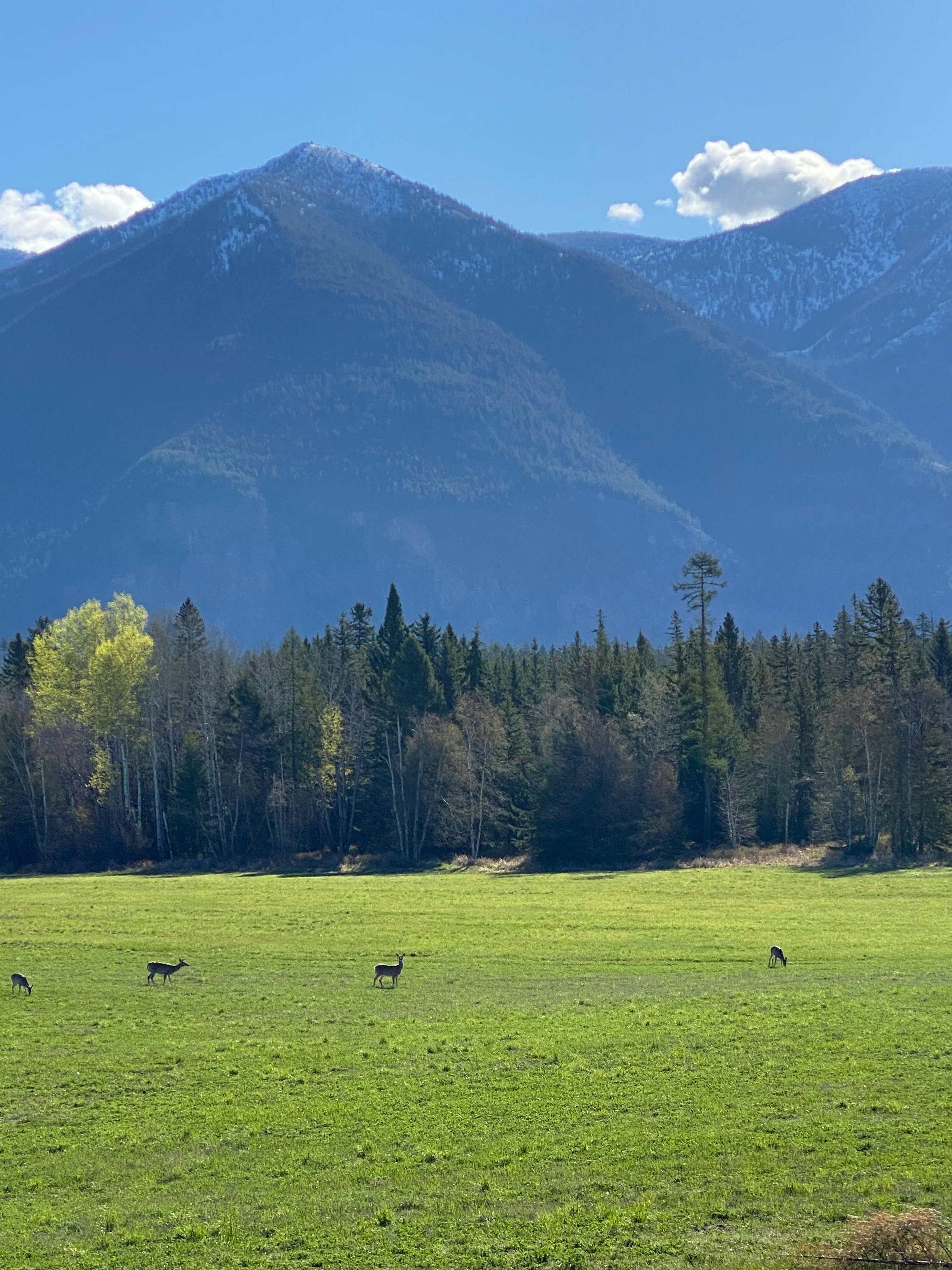 Country Setting With Mountain Views