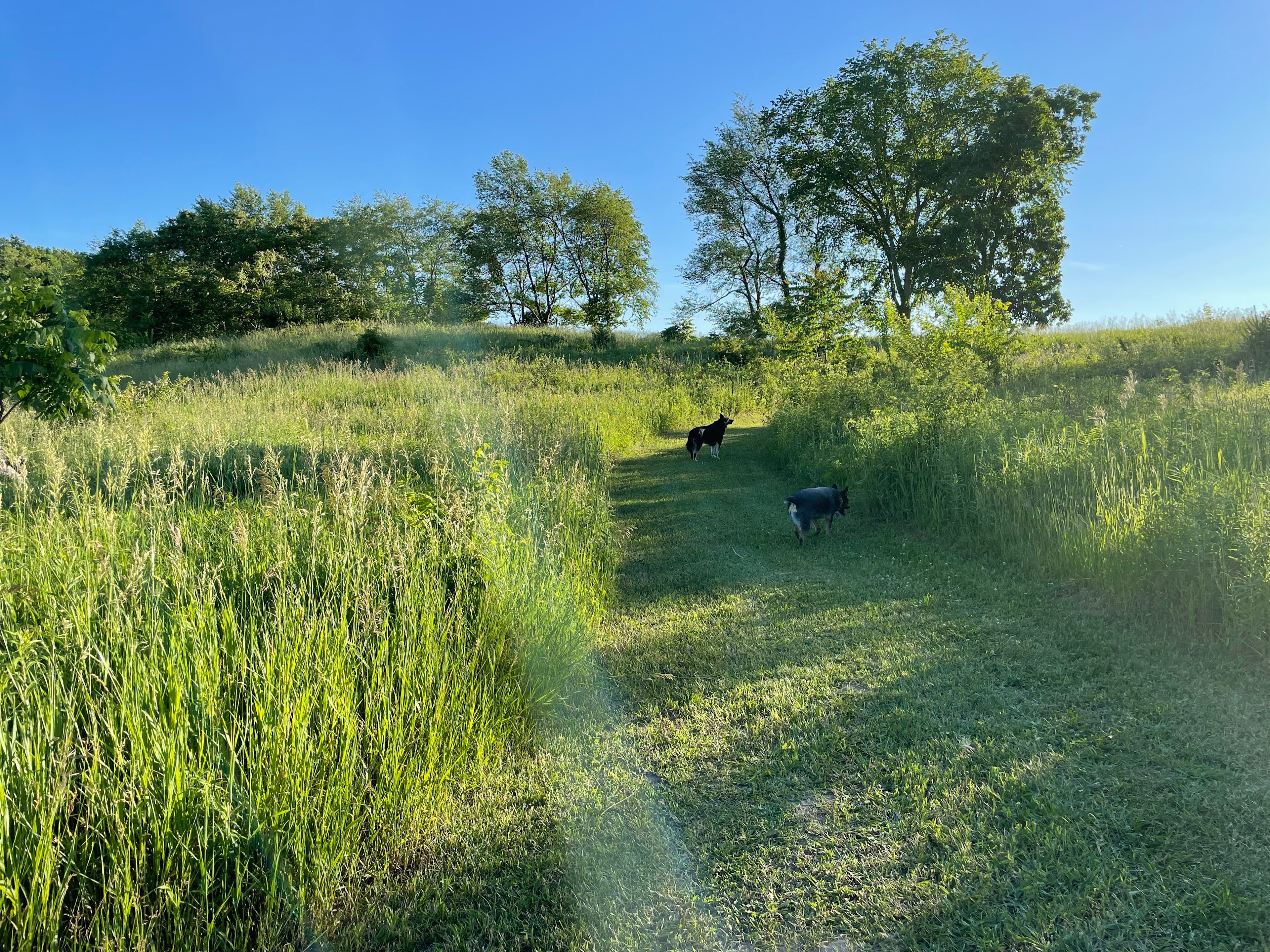 Trail on campsite