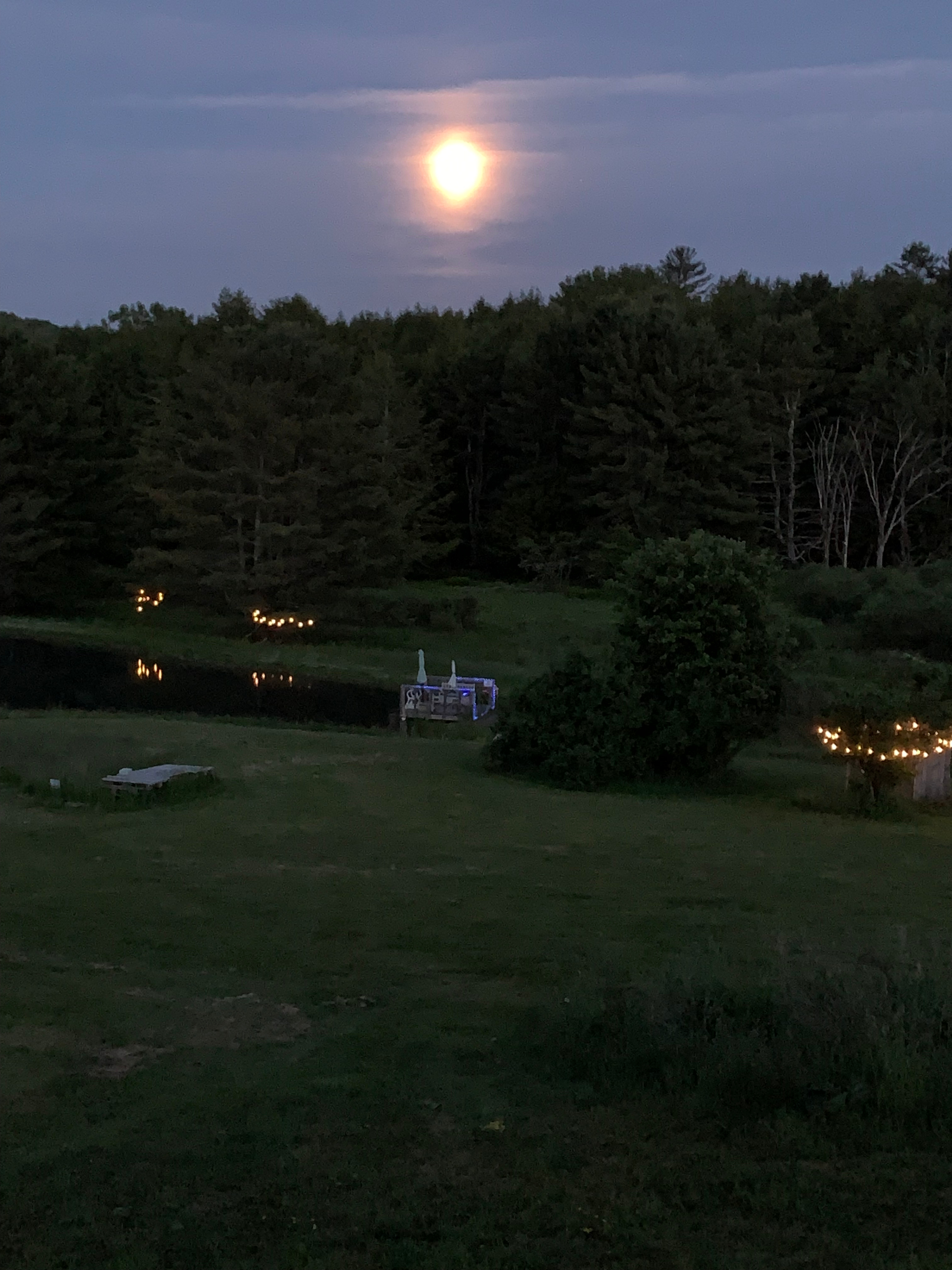 The Swim Pond at Olin Springs
