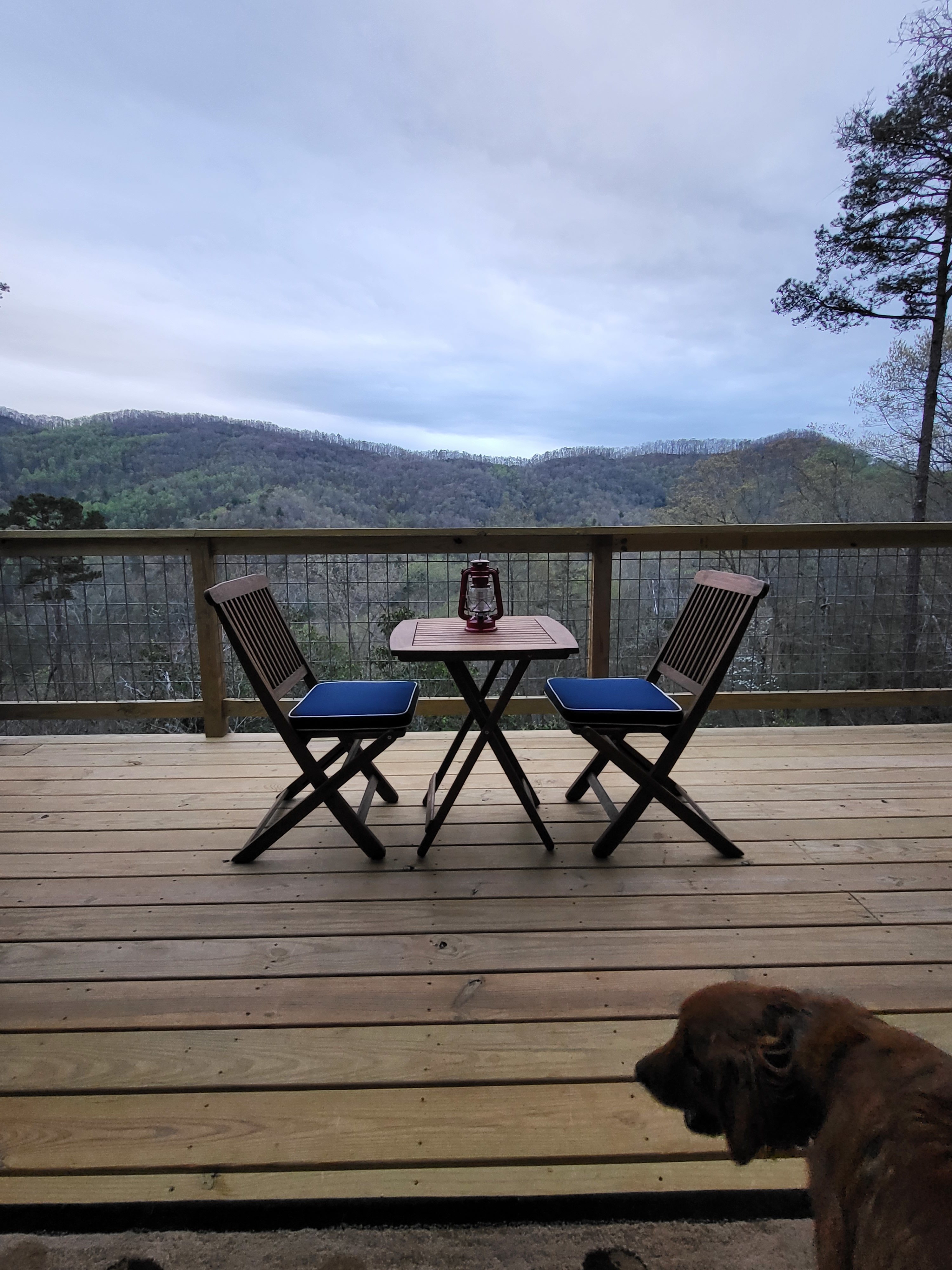 The Rowdy Bear Off-Grid Glamping