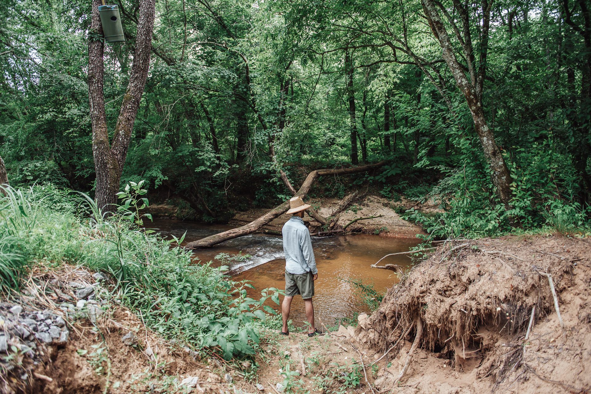 Secluded Mitchel River Camping