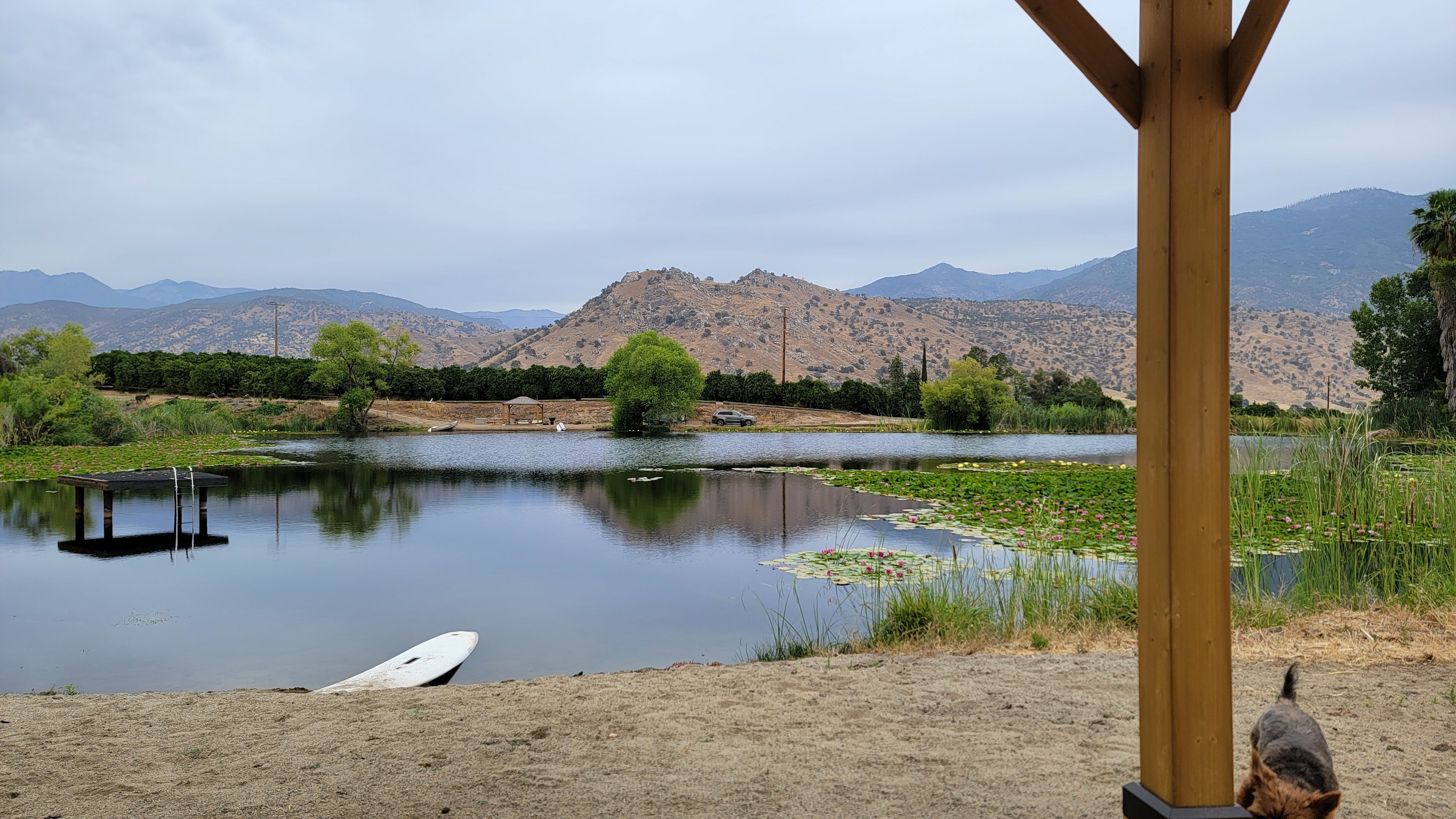 Rancho Monte Vista Pond Site
