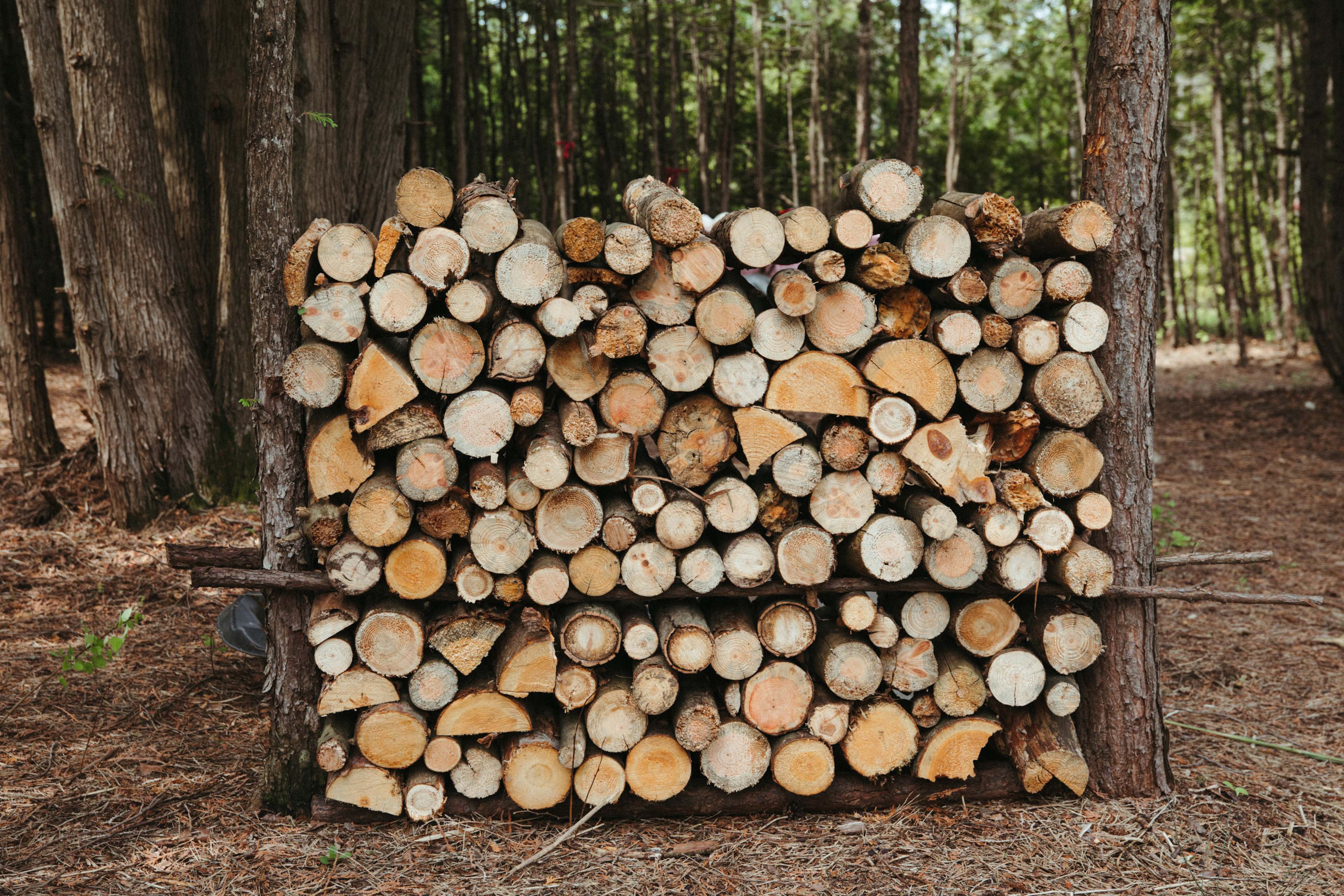 wood provided by the hosts at a very fair fee, you have all you need here