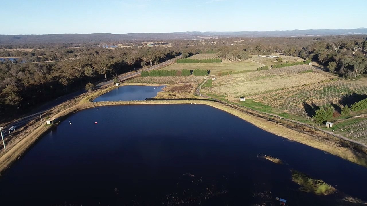 FigTastic Fruit Farm