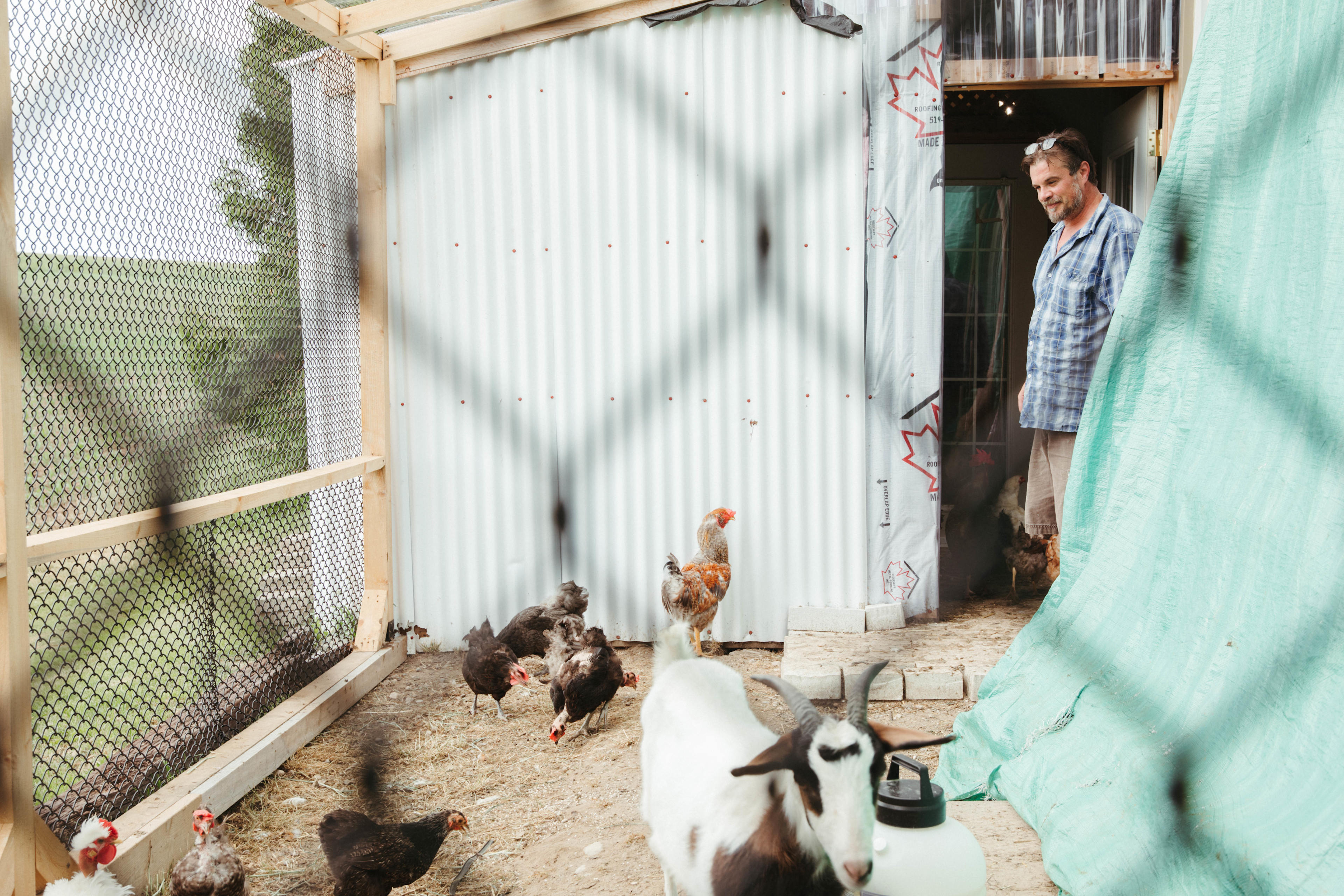 Pedro, our host, greeting the animals.