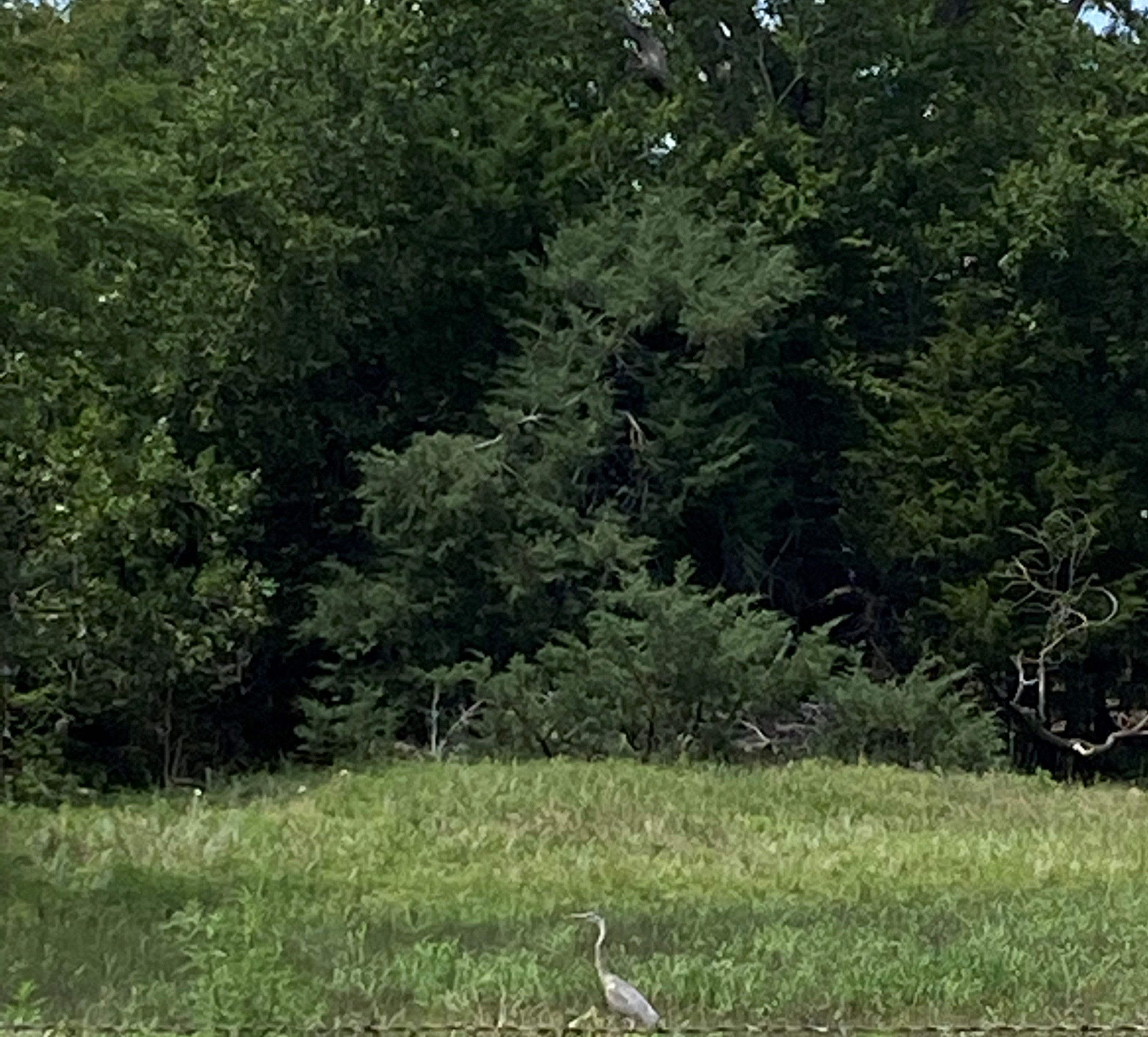 Birdhouse.Farm