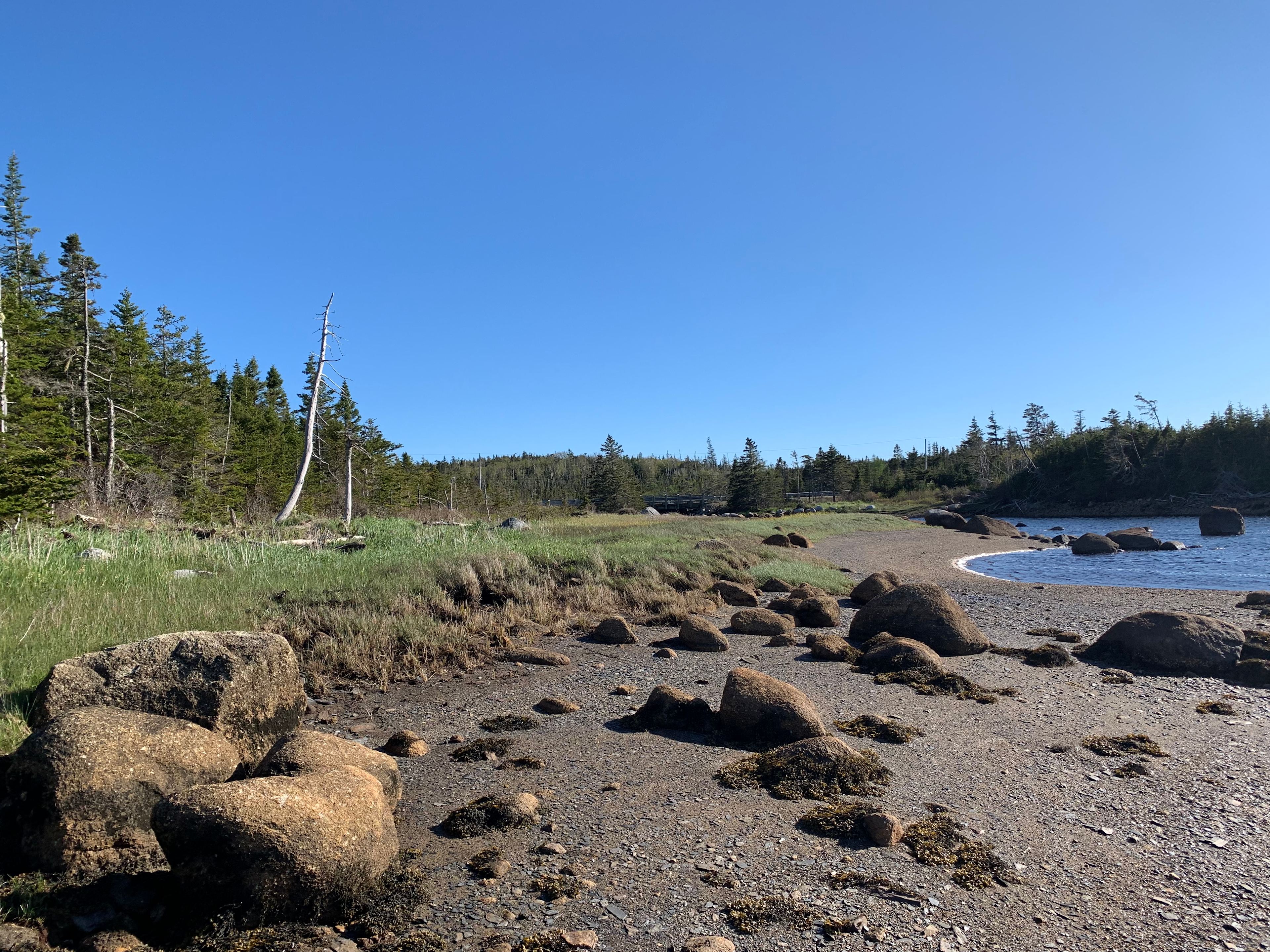 Tide out 