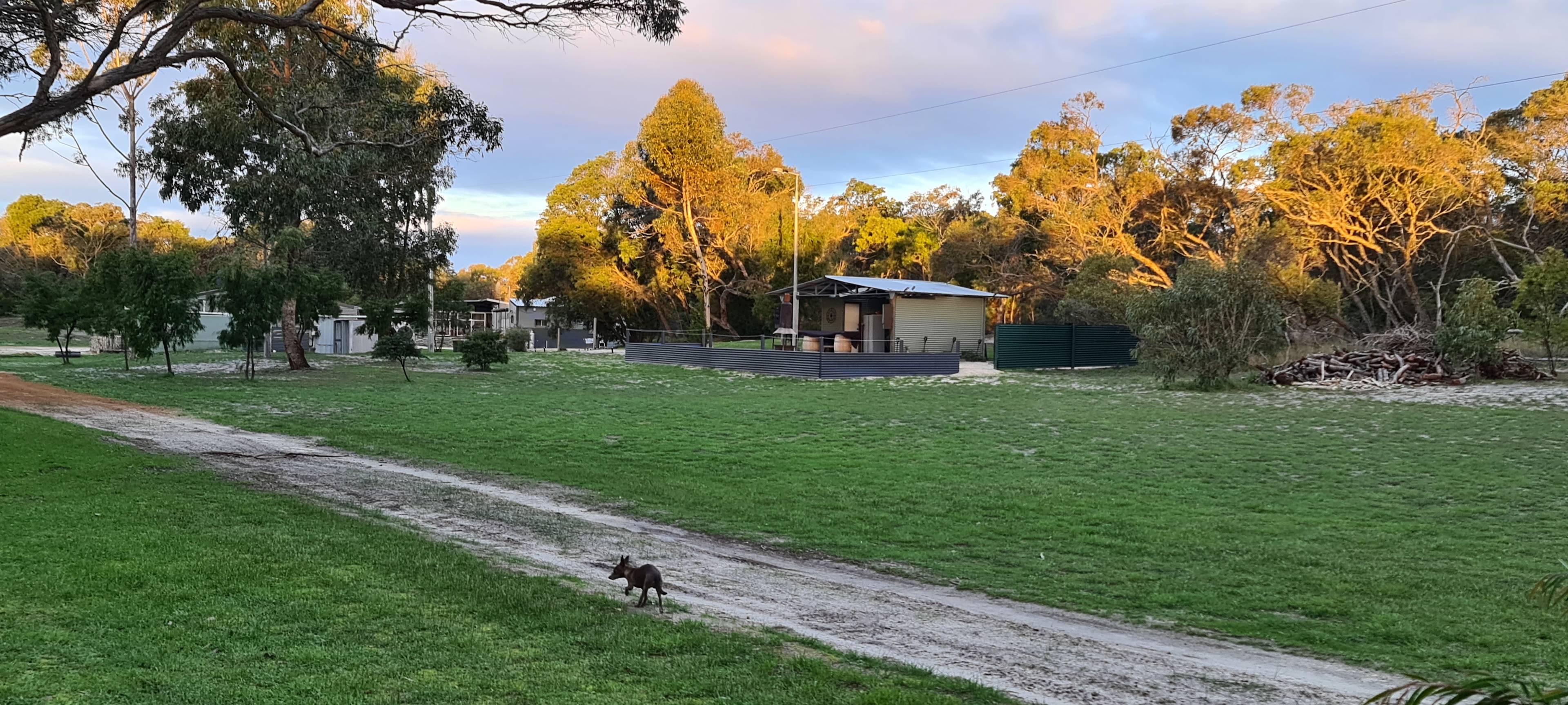 Toolibut Bush Camp 