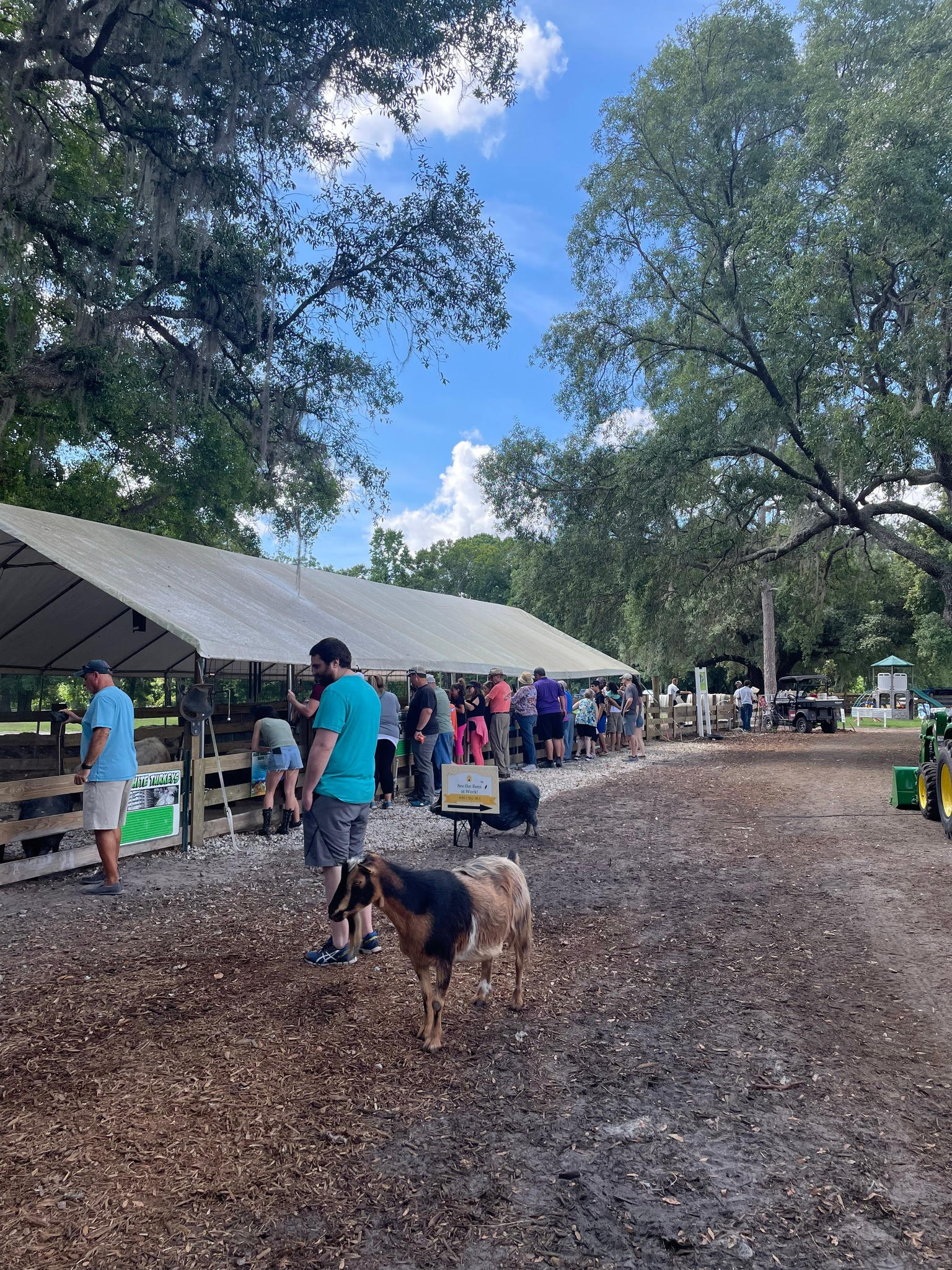 THE Farmstay for Animal Lovers!
