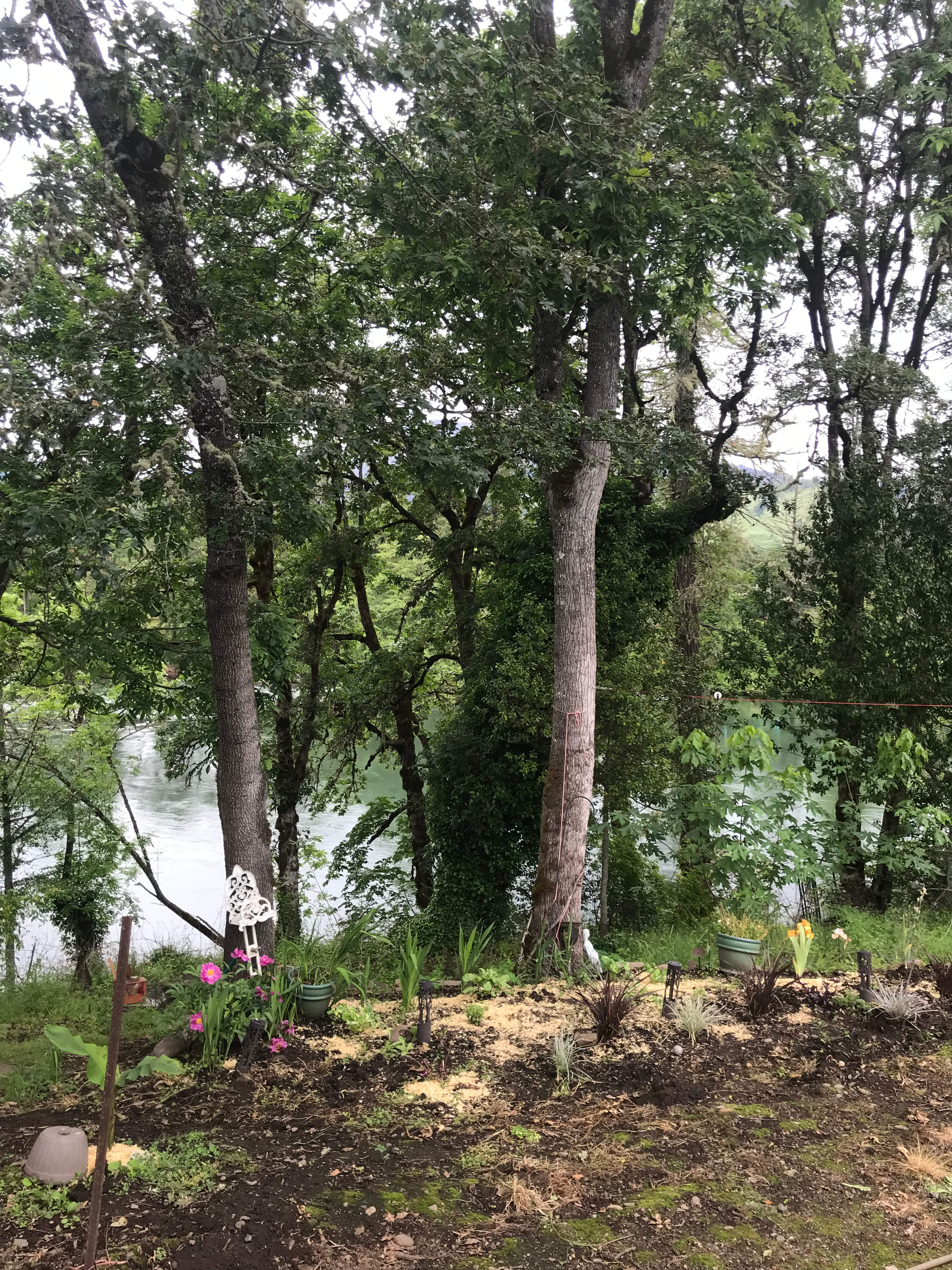Double DD Roadside River View