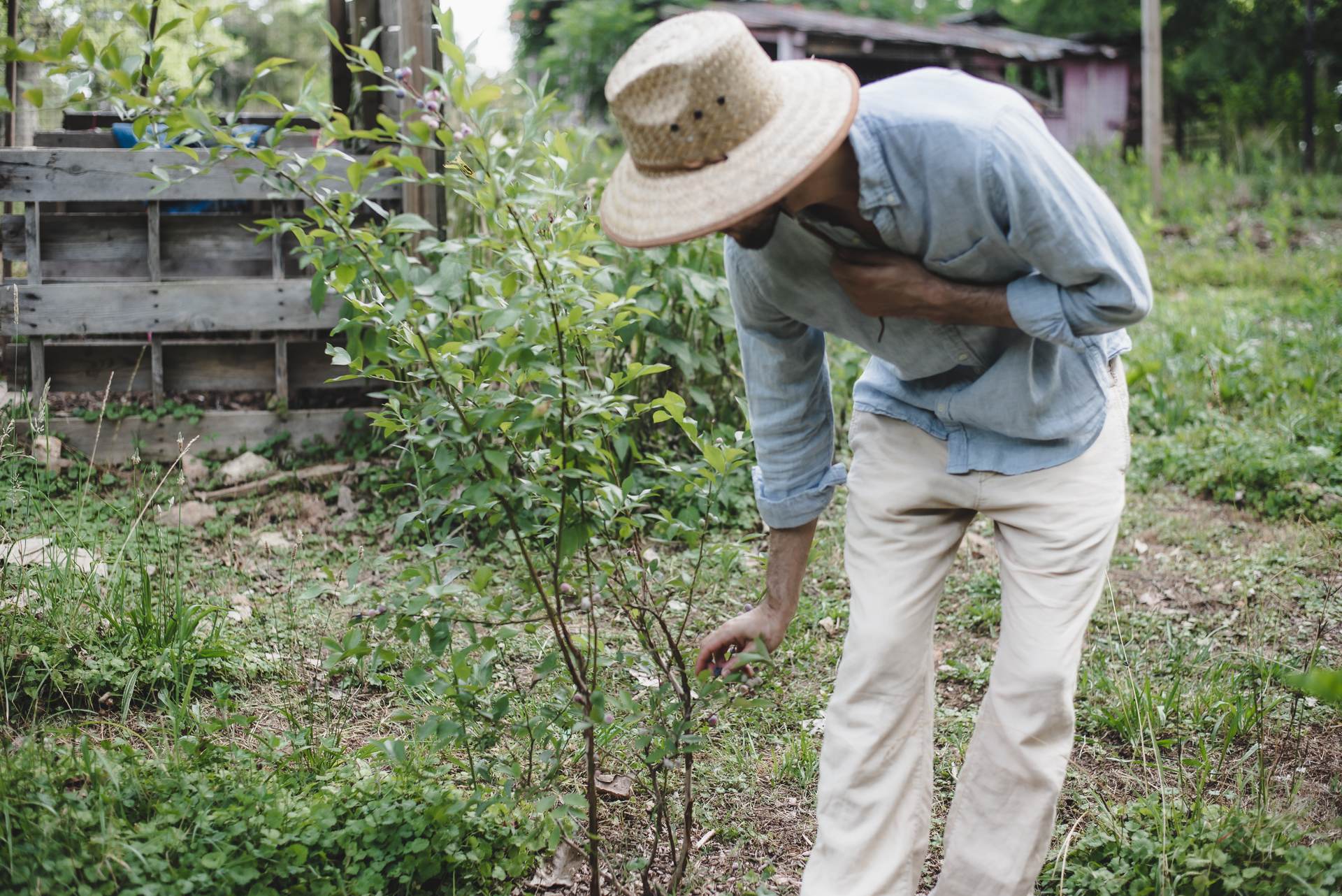 R.O.S.A Land Campground Piedmont NC