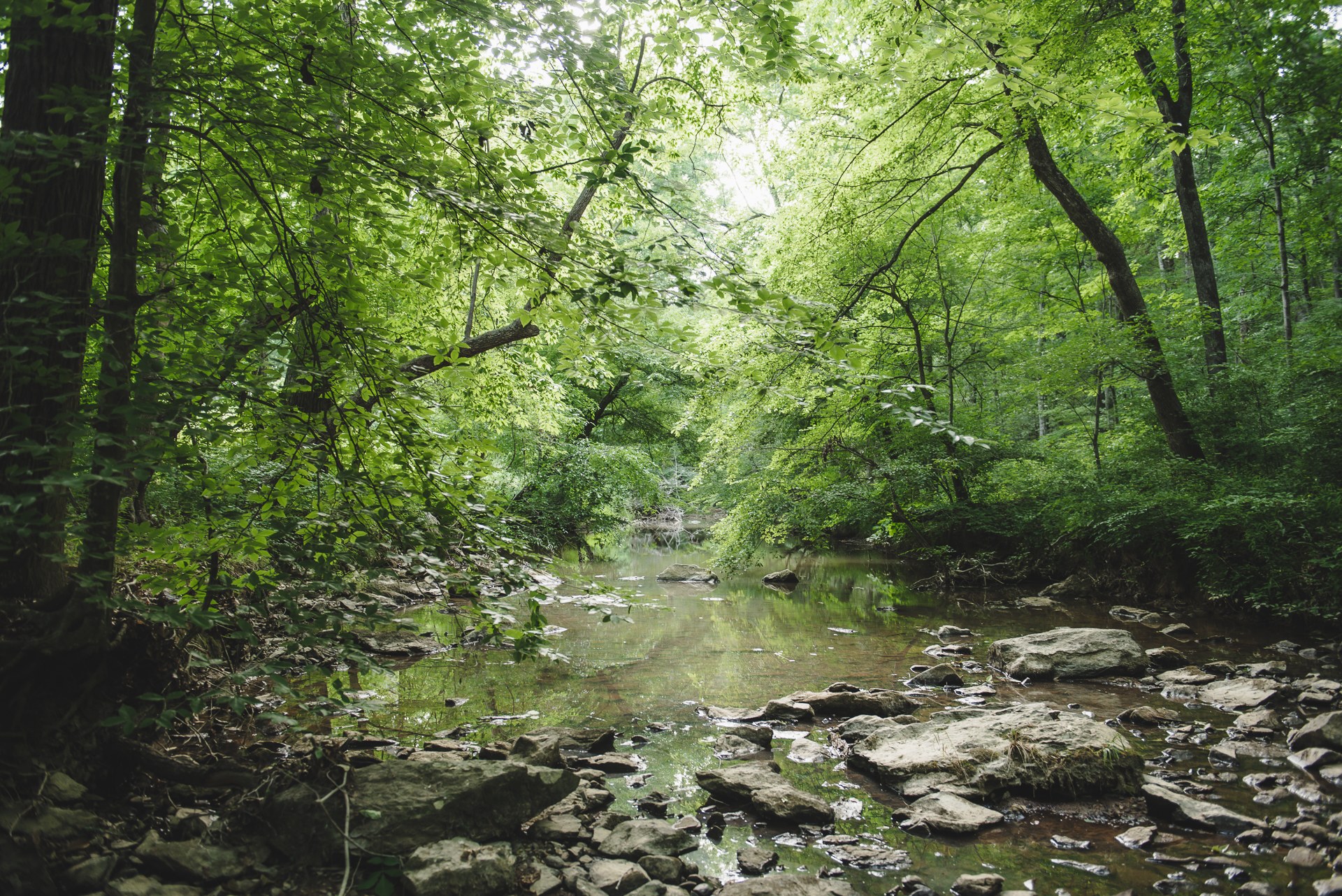 R.O.S.A Land Campground Piedmont NC