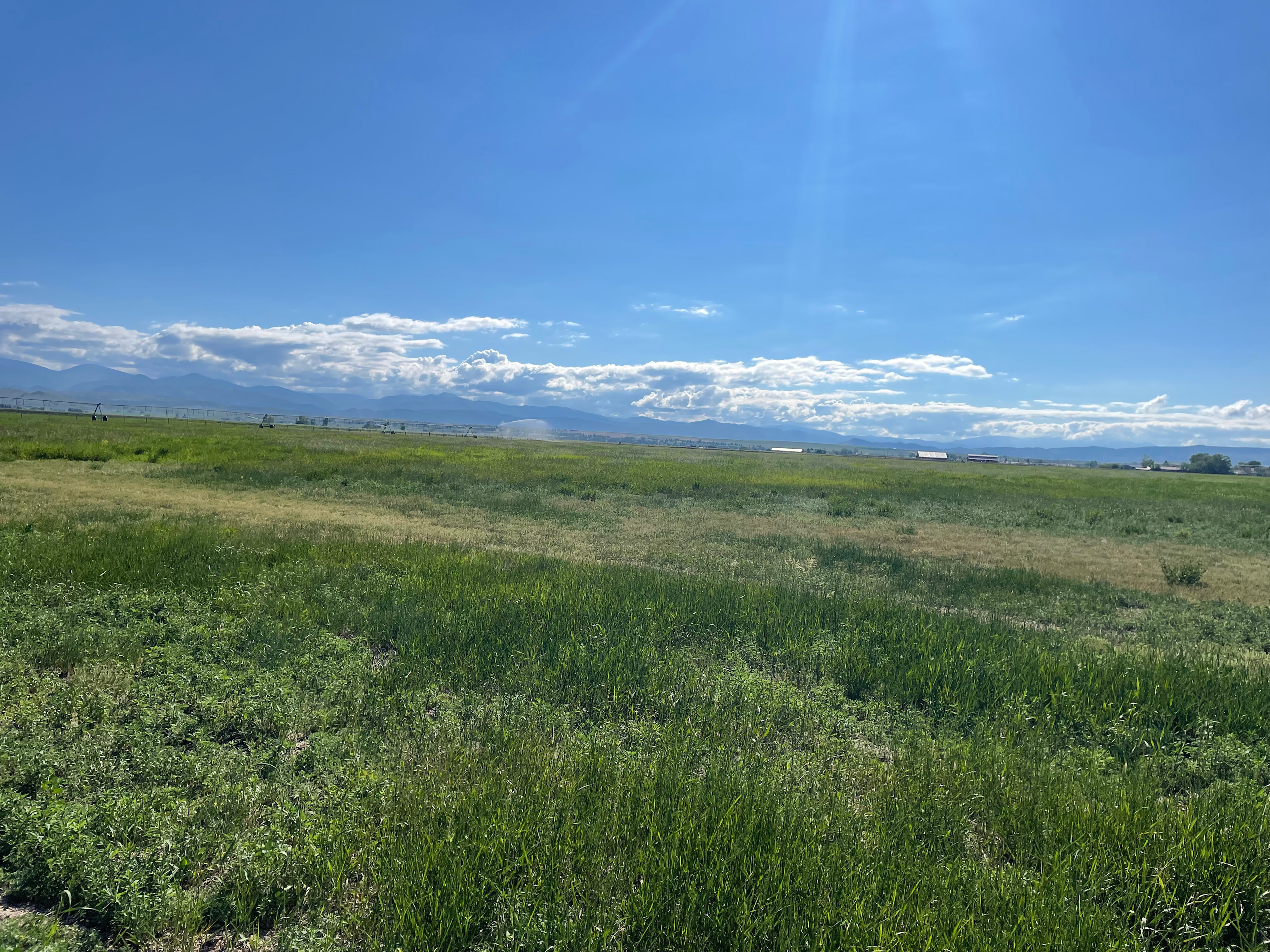 The view from my campsite 