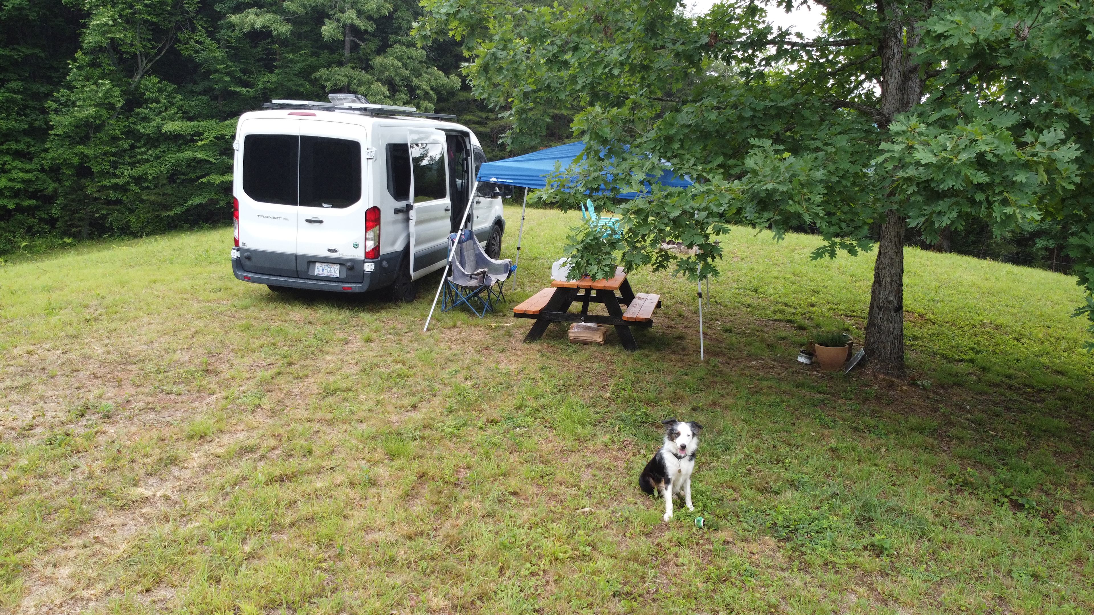 Knoll In The Balsams