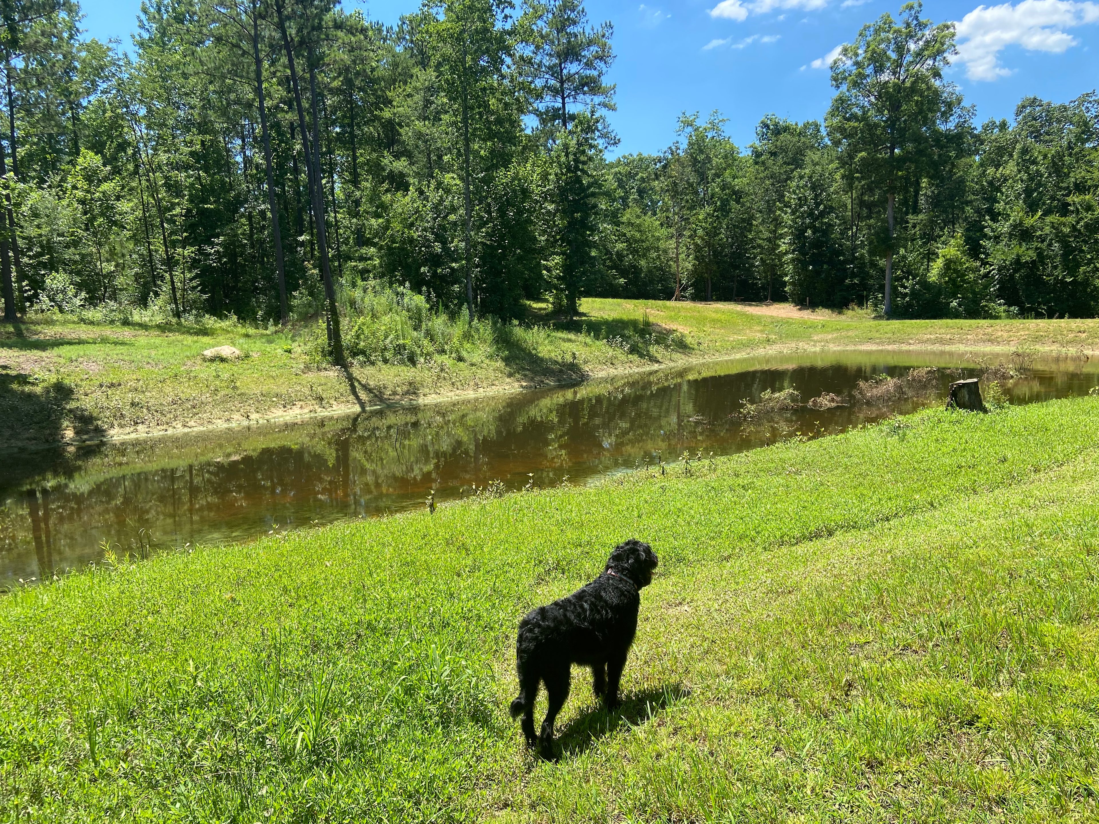 Argo’s Park & Trails