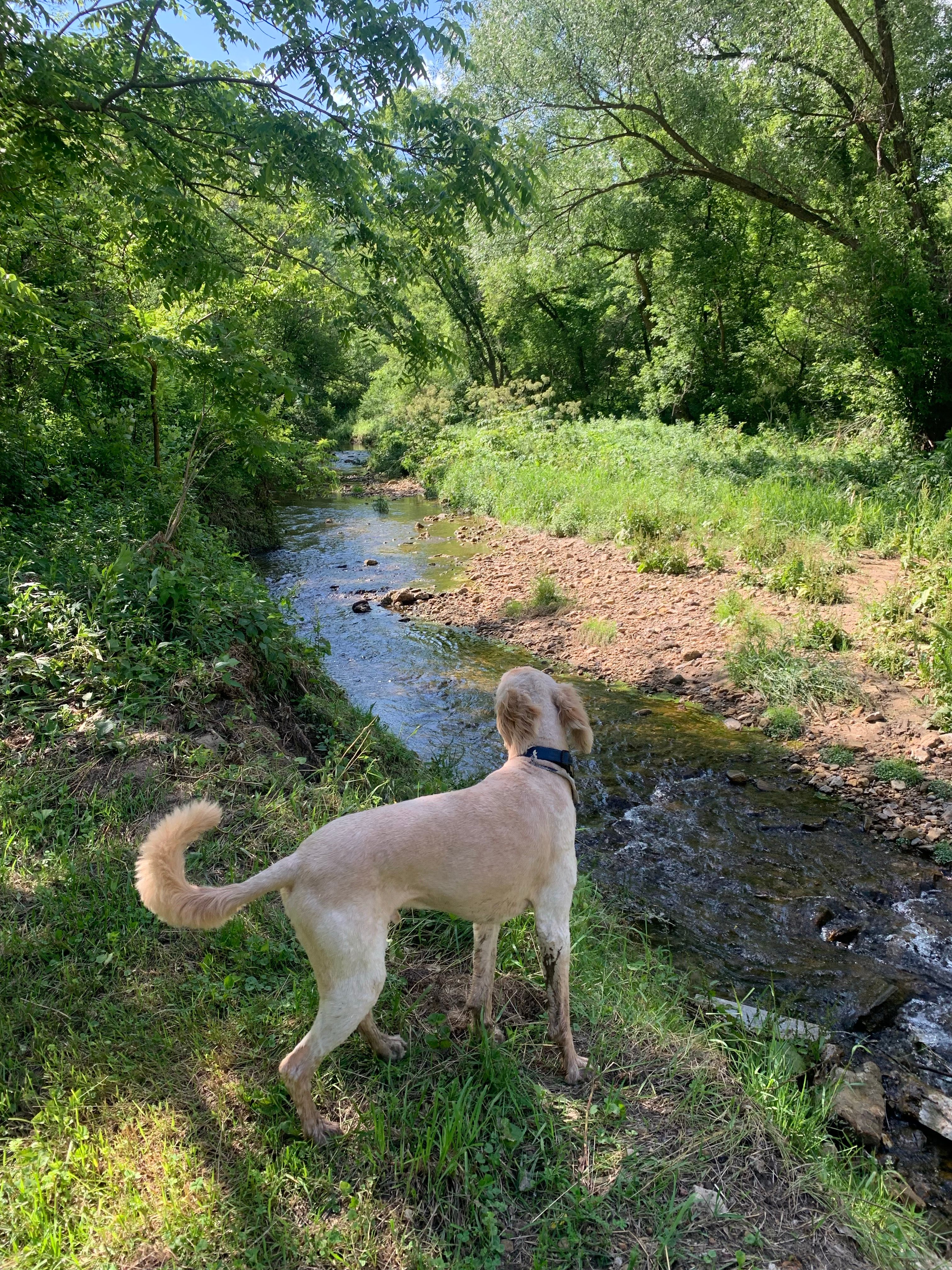 New Hartford trout camp